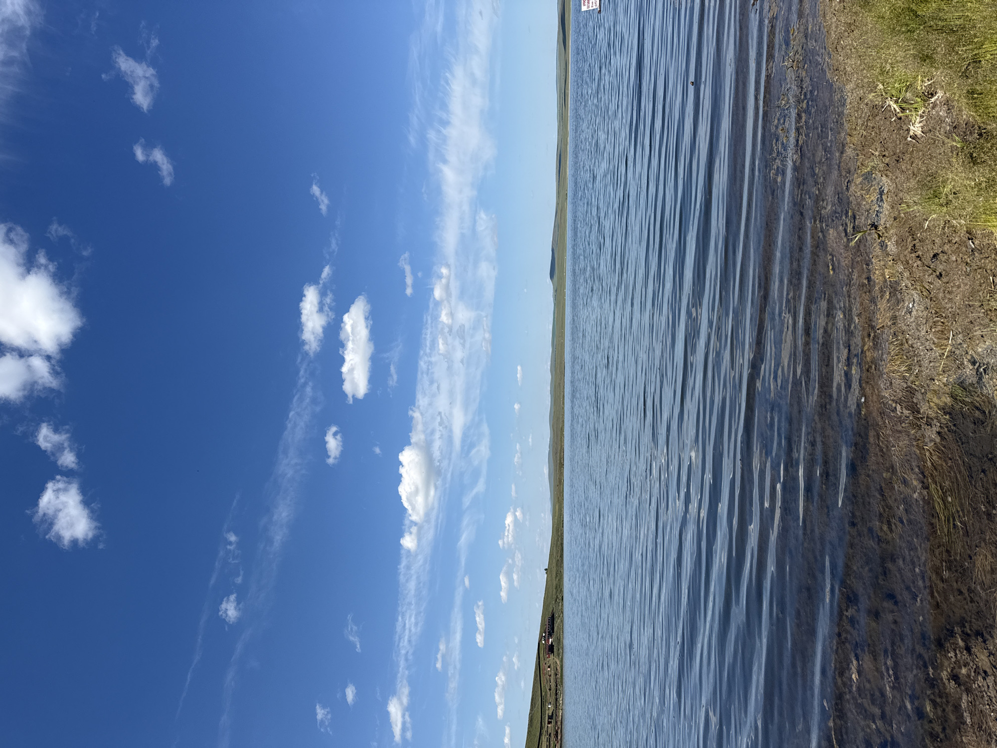This is a landscape image, presented in portrait orientation. The left side of the image features a vibrant blue sky filled with scattered white clouds of varying sizes. Some clouds are wispy cirrus, while others are more cumulus-like. The right side of the image shows the calm, rippled surface of a body of water, likely a lake or large pond. The water reflects the sky's blue, creating a sense of depth. Along the far right edge of the frame, there is a narrow strip of land with dry grass and muddy patches. In the distance, a gentle, grassy hillside rises, meeting the sky. A small cluster of buildings or structures can be seen on the hillside in the middle ground, near the water's edge. A red and white sign is partially visible at the top right of the image, though the text is illegible. The overall scene suggests a clear, sunny day in a natural, possibly rural or undeveloped, setting. The lighting indicates it is likely daytime, possibly midday given the bright sky.