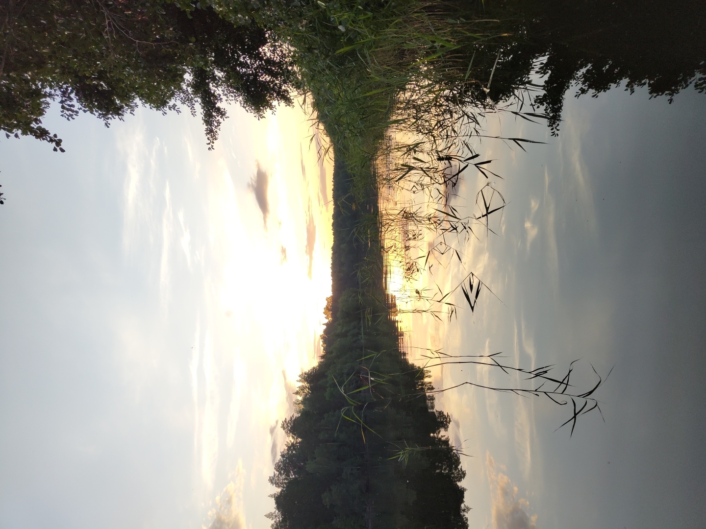 The image depicts a serene natural landscape at sunset, likely near Kichery, Russia. The sky is a pale blue, transitioning to soft oranges and yellows near the horizon, where the sun is setting. Wispy clouds are scattered across the sky. A dense line of dark green trees forms a forest along the distant bank of a calm body of water. The water itself is dark and reflective, mirroring the sky and the treeline, creating a symmetrical effect. Reeds and tall grasses grow along the near bank, with some of their stalks protruding from the water and casting reflections. The overall scene is tranquil and evokes a sense of peaceful solitude. There are no people or animals visible in the image, nor any man-made structures or objects. The composition is dominated by natural elements, with the water and sky taking up significant portions of the frame.
