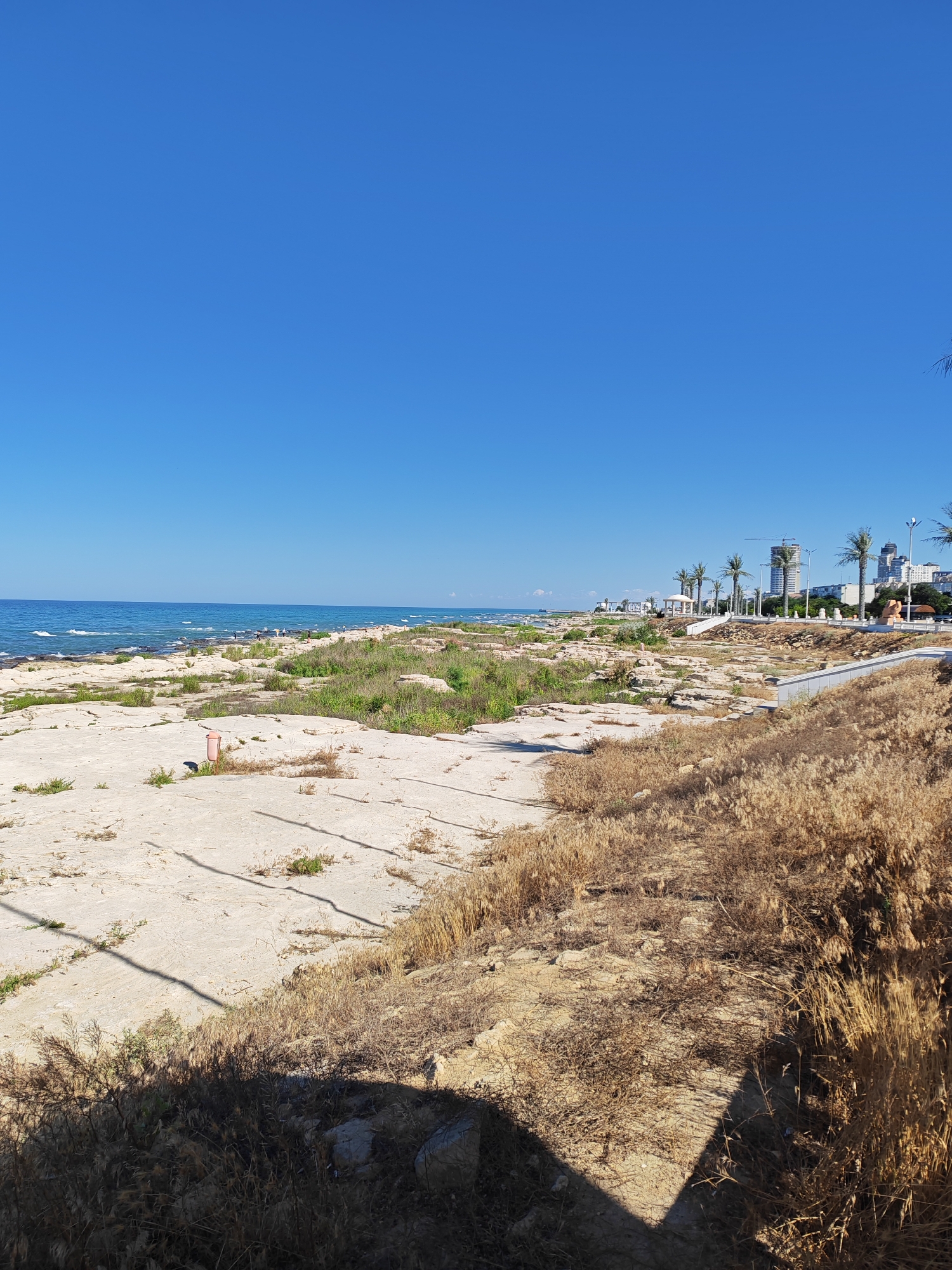 This is a photograph of a coastal area on a clear, sunny day. The foreground is dominated by dry, brown grass and sparse vegetation growing on sandy, uneven terrain. There are some large, flat rocks scattered across the ground. In the middle ground, a paved area with a light pink trash can is visible. Beyond this, the terrain transitions to greener, taller grass and more rocks before meeting the blue sea. The sea is calm with small waves breaking on the shore. In the background, along the coastline, there are several palm trees, white buildings, and what appear to be high-rise structures under construction, suggesting an urban setting. The overall impression is of a somewhat undeveloped or partially developed coastal zone within a city. The location is the city of Aktau, Kazakhstan.