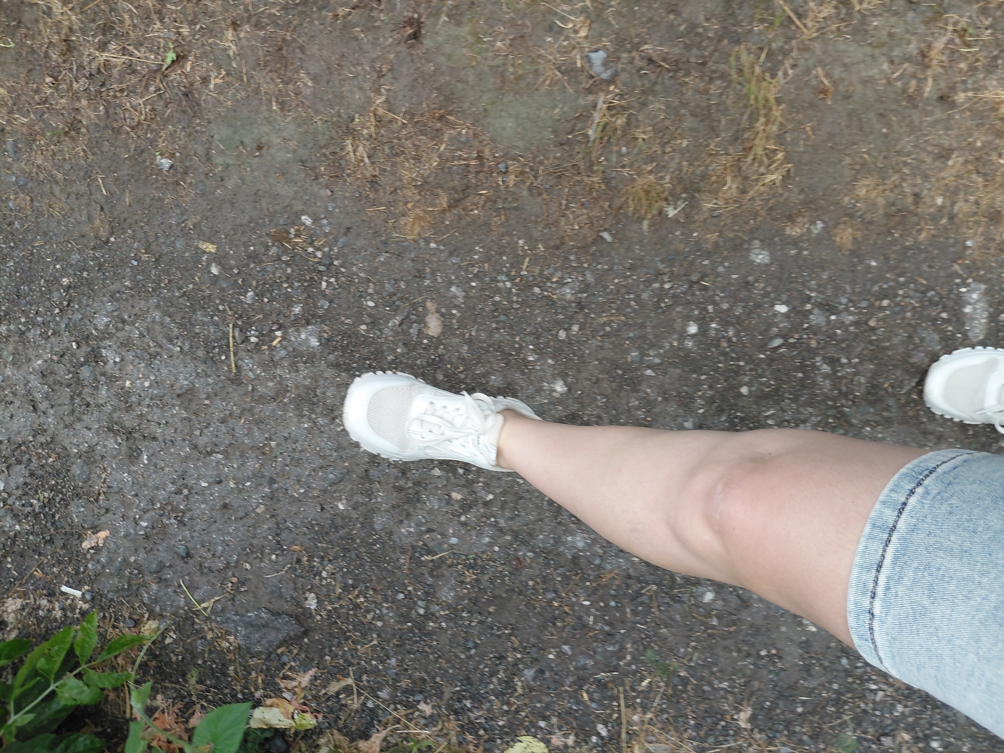 A first-person perspective shot captures a person walking on a rough, gravelly path. The path is surrounded by dry grass and some green foliage on the left side. The person is wearing a denim skirt and a white sneaker. The scene appears to be outdoors, possibly in a park or a trail. The ground is a mix of small stones, dirt, and patches of dried grass. The lighting suggests it is daytime. The image does not contain any identifiable landmarks or signs that would pinpoint a specific location in Novosibirsk, Russia.