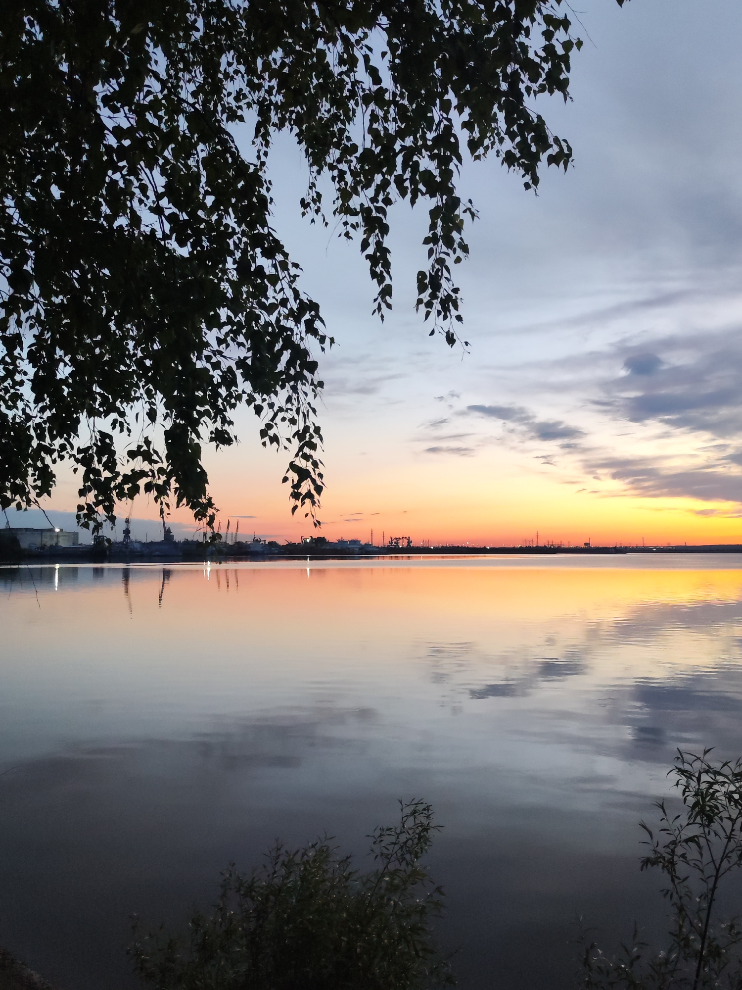 The image shows a serene sunset over the Kama River in Chaikovsky, Russia. A large body of water dominates the scene, reflecting the sky's colors in its calm surface. Silhouettes of industrial structures, including cranes and buildings, line the distant shore. A birch tree's branches with dense foliage hang in the upper left corner, framing the view. Smaller shrubs are visible in the lower corners. The sky transitions from pale blue and gray to vibrant shades of orange and yellow near the horizon. The overall lighting suggests the image was taken during the evening.