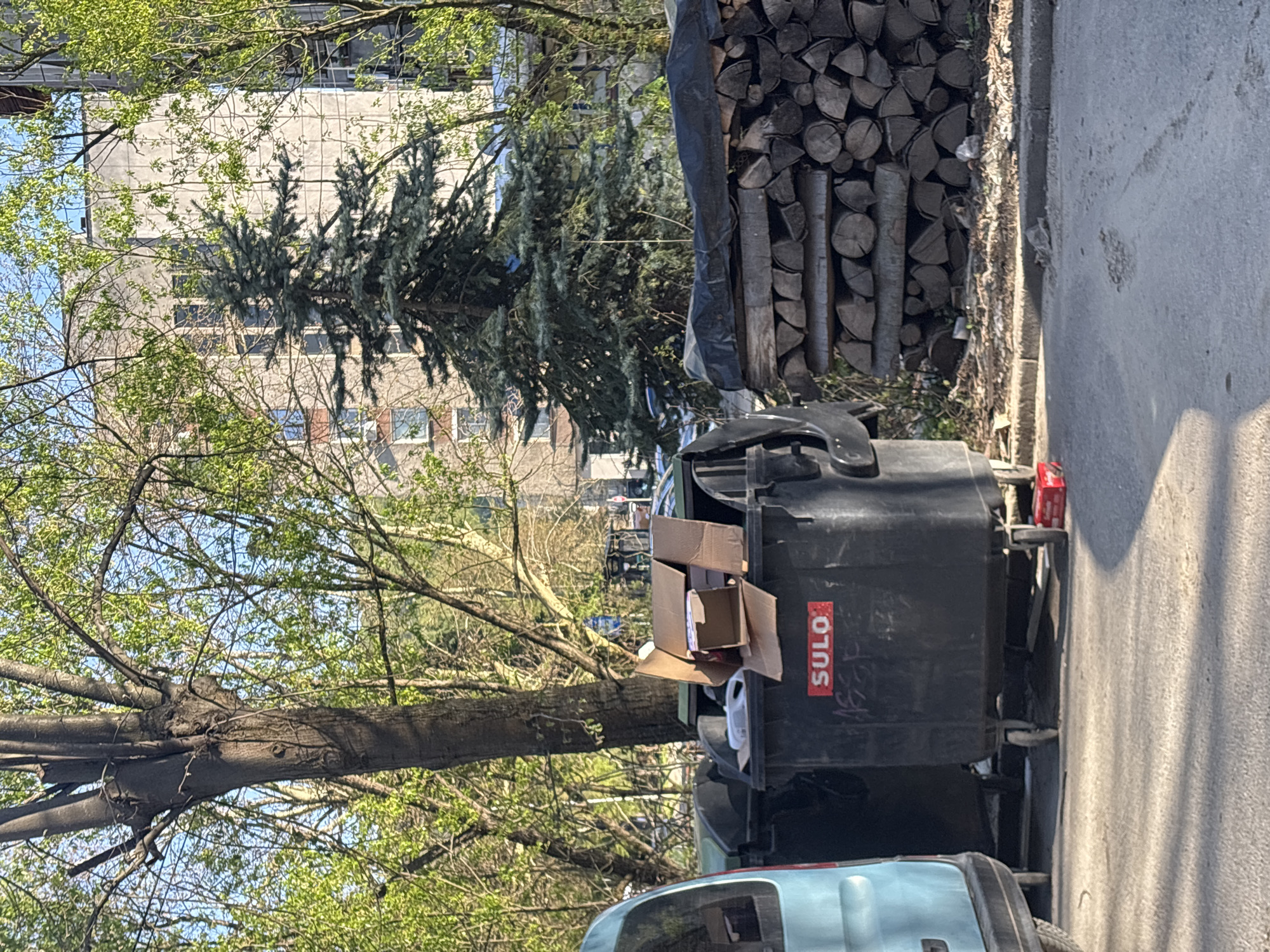 This outdoor scene, captured under bright daylight in what appears to be Troyan, Bulgaria, depicts a side street or alleyway lined with everyday objects and vegetation. The image is oriented vertically, showing elements from foreground to background.
In the immediate foreground, the top portion of a light blue car is visible at the bottom left. Adjacent to it are two large, black, wheeled garbage bins. The bin closer to the viewer has an open cardboard box resting on its lid, with another cardboard box visible inside. The brand name "SULO" is clearly visible in red text on the side of this bin, along with some faint, illegible white markings below it.
Behind the bins, a large, neatly stacked pile of cut firewood is present, partially covered by a dark, possibly blue or black, tarp. This stack is situated along a concrete curb that separates the asphalt surface from a patch of ground.
The midground and background are characterized by abundant greenery and a building. Several deciduous trees with bright green leaves, indicative of spring or early summer, frame the left and upper parts of the scene. A darker green coniferous tree, possibly a spruce or pine, stands prominently in the center-left. Behind the trees, a multi-story building with a light-colored facade and multiple windows is visible, suggesting a residential or commercial structure. The sky above is a clear, bright blue.
The strong shadows cast by the objects suggest a sunny day, likely mid-morning or afternoon. No people are visible, but the presence of the garbage bins and firewood indicates human activity in the area.