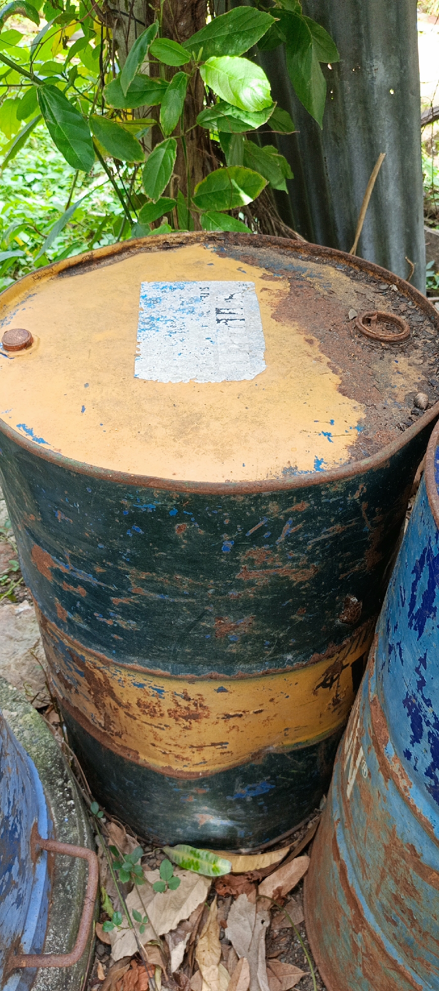 In a densely vegetated area, likely a yard or outdoor storage space, within the city of Pashiebeutong, Indonesia, two heavily weathered, rusted metal barrels are prominently displayed. The foreground barrel, predominantly yellow on its top surface and banded with dark green and yellow on its sides, exhibits significant signs of age, including peeling paint and rust streaks. A faded white label with some illegible blue markings is affixed to the center of its yellow top. Adjacent to it, to the right, another barrel, painted blue and showing similar rust and wear, is partially visible. Green foliage hangs from a tree or vine behind the barrels, and dry leaves and debris are scattered on the ground around them. The overall scene suggests an environment of neglect or prolonged outdoor storage, with the natural elements of the Indonesian landscape actively contributing to the deterioration of the man-made objects.
