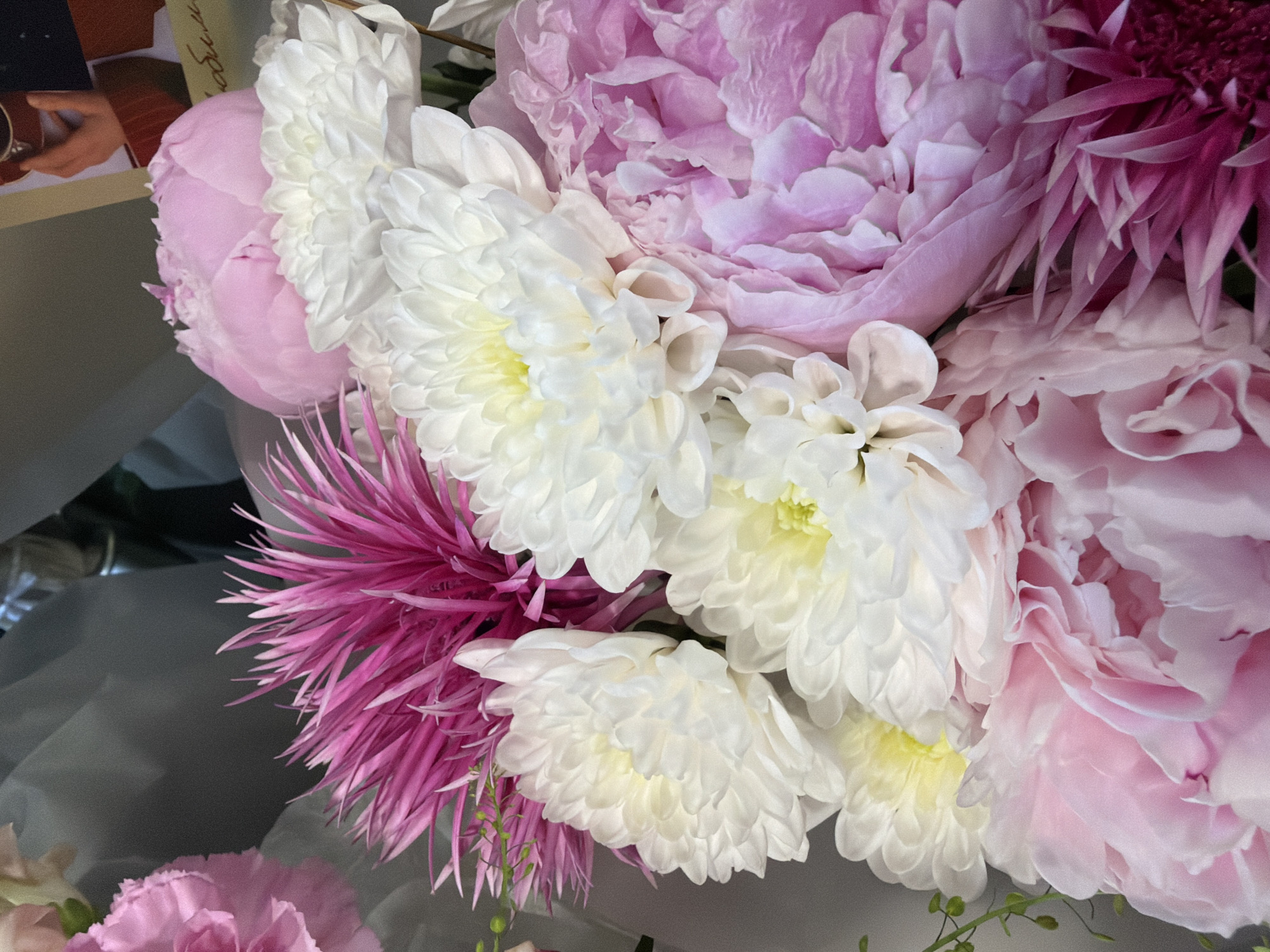 A close-up, overhead shot captures a bouquet of mixed flowers, primarily peonies and chrysanthemums, arranged in a dense cluster. The bouquet features large, soft pink peonies with layered petals, interspersed with white chrysanthemums that have bright yellow centers and numerous delicate white petals. Accents of spiky, magenta-colored flowers add a contrasting texture and color to the arrangement. A light pink carnation is partially visible in the upper left corner. The background is a soft, out-of-focus gray and white wrapping material, with a sliver of a framed image visible in the upper right corner, showing a hand holding a cup. The lighting is soft and diffused, highlighting the textures and colors of the flowers.