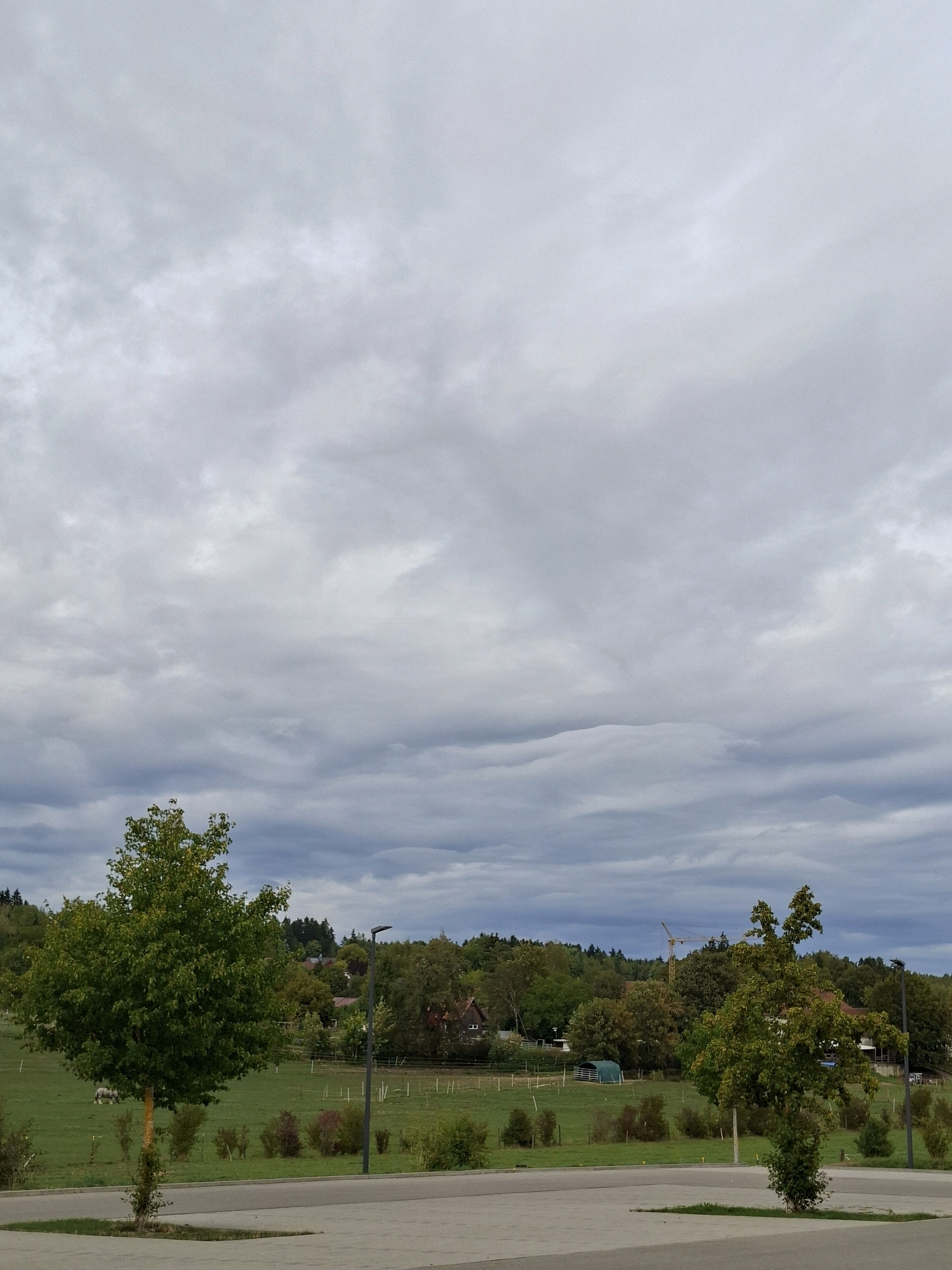 The image depicts a cloudy, overcast sky over a rural landscape with some residential buildings visible in the distance. In the foreground, there is a paved area with two young trees planted in squares of grass. A path or road runs parallel to the paved area. Beyond this, a green field contains a few small bushes and a fence line. Further back, a cluster of trees forms a wooded area, interspersed with houses. A construction crane is visible above the treeline on the right side of the image. In the middle ground, a horse is grazing in the field. The overall impression is of a quiet, rural setting on a gray day. The location is likely Villingen-Schwenningen, Germany, given the context.