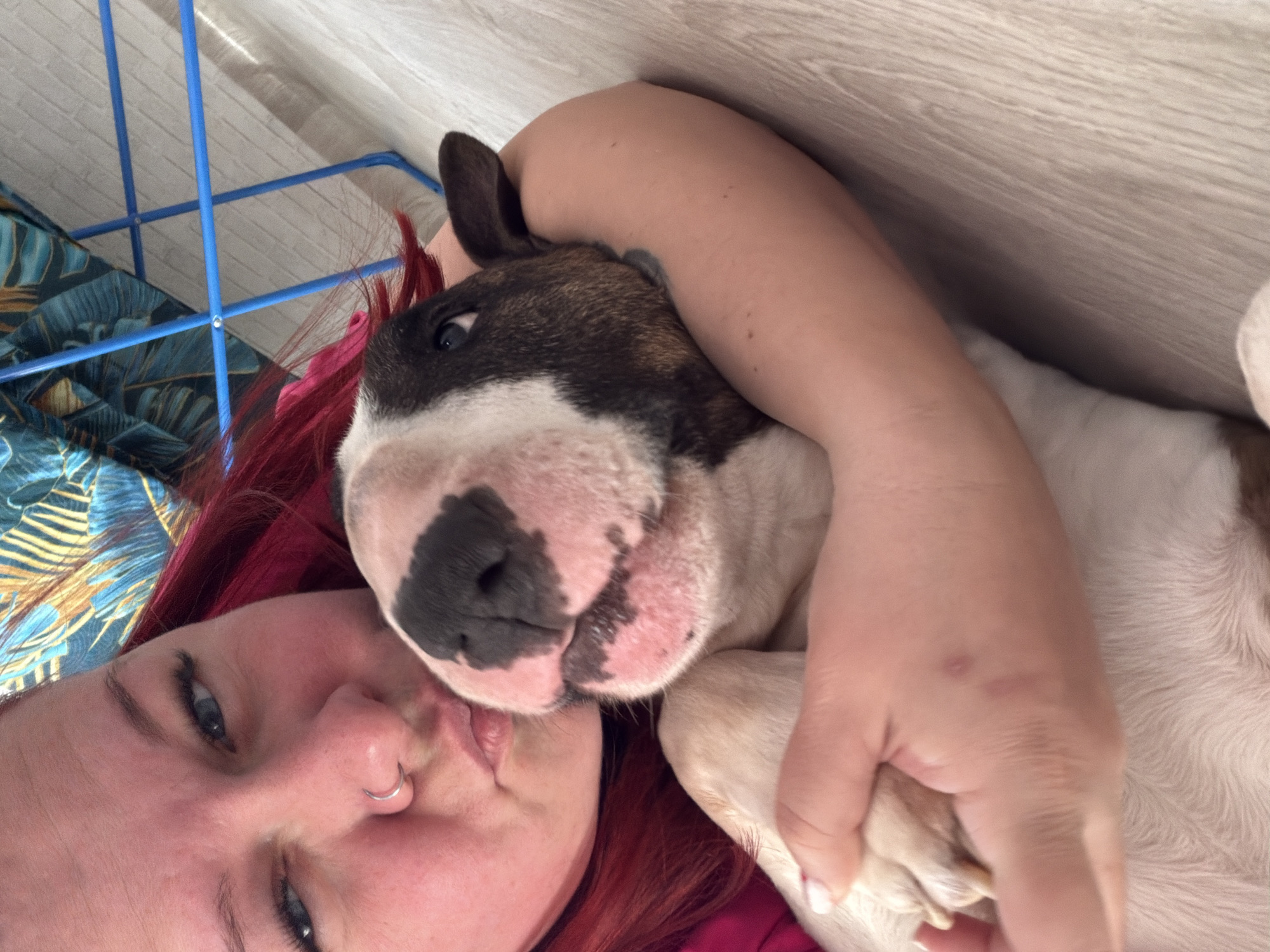 A woman with red hair and a nose ring lies on a surface with blue bars and patterned bedding. She is cuddling a brindle and white bull terrier. Her arm is around the dog. The location appears to be indoors, with light-colored wood paneling on the wall. There is no verifiable evidence to suggest the image was taken in the city of Chaikovsky, Russia.