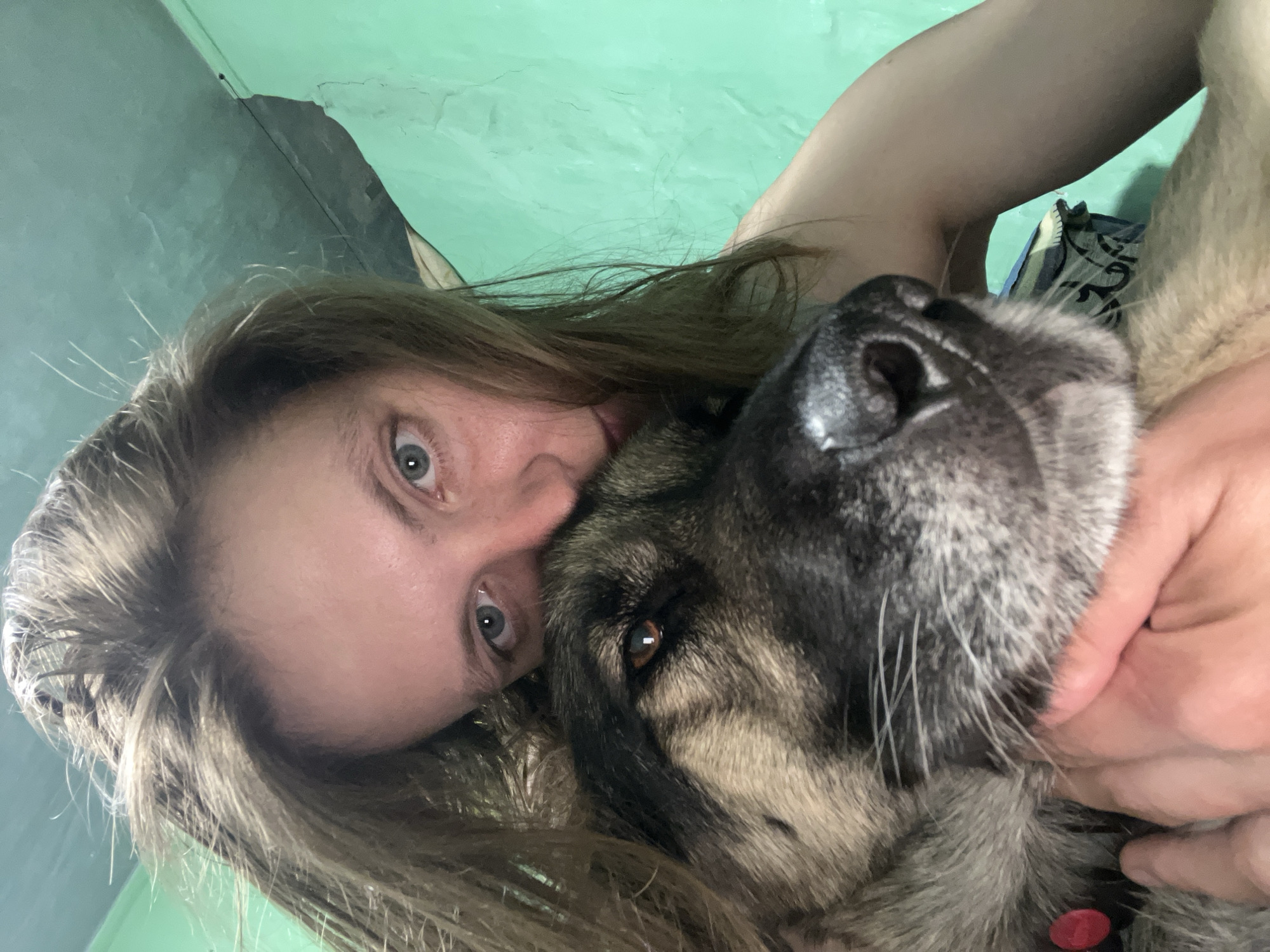 This is a close-up, selfie-style photograph of a person and a dog. The person, with long, light brown hair, is positioned behind and to the right of the dog, their face partially obscured by their hair and leaning towards the dog. The person's light blue eyes are visible, looking towards the camera. The dog, a medium-to-large breed with tan and black fur, is in the foreground, its head close to the person's face. The dog's brown eye is visible, looking off to the side. A hand is visible holding the dog, and a red tag is attached to the dog's collar. The background consists of a textured, bright green wall and a ceiling that appears to be made of corrugated material, suggesting an indoor setting that is likely utilitarian or unfinished. There are no discernible landmarks or features that would indicate a specific location within the city of Nizhny Tagil, Russia. The image captures a moment of affection and connection between the person and the dog.
