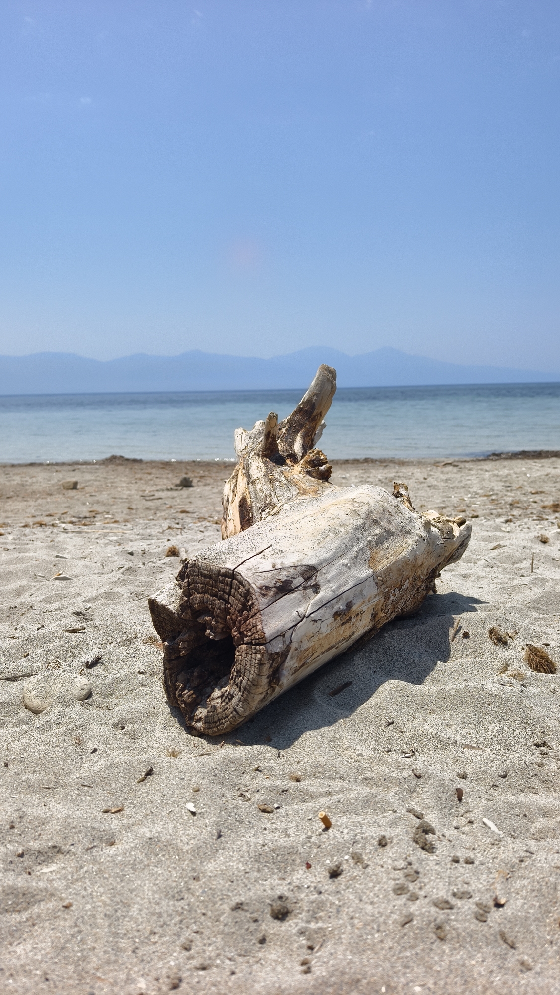The image is a photograph of a sun-drenched beach with clear blue skies and calm, light blue water. In the foreground, a weathered piece of driftwood lies on the sand, its hollowed-out center revealing the aged texture of the wood. The sand is speckled with small pebbles and debris. In the background, a hazy mountain range is visible across the water. The scene suggests a peaceful, quiet day at the beach, likely in the late morning or early afternoon, given the bright sunlight and clear sky. There is no text visible in the image.