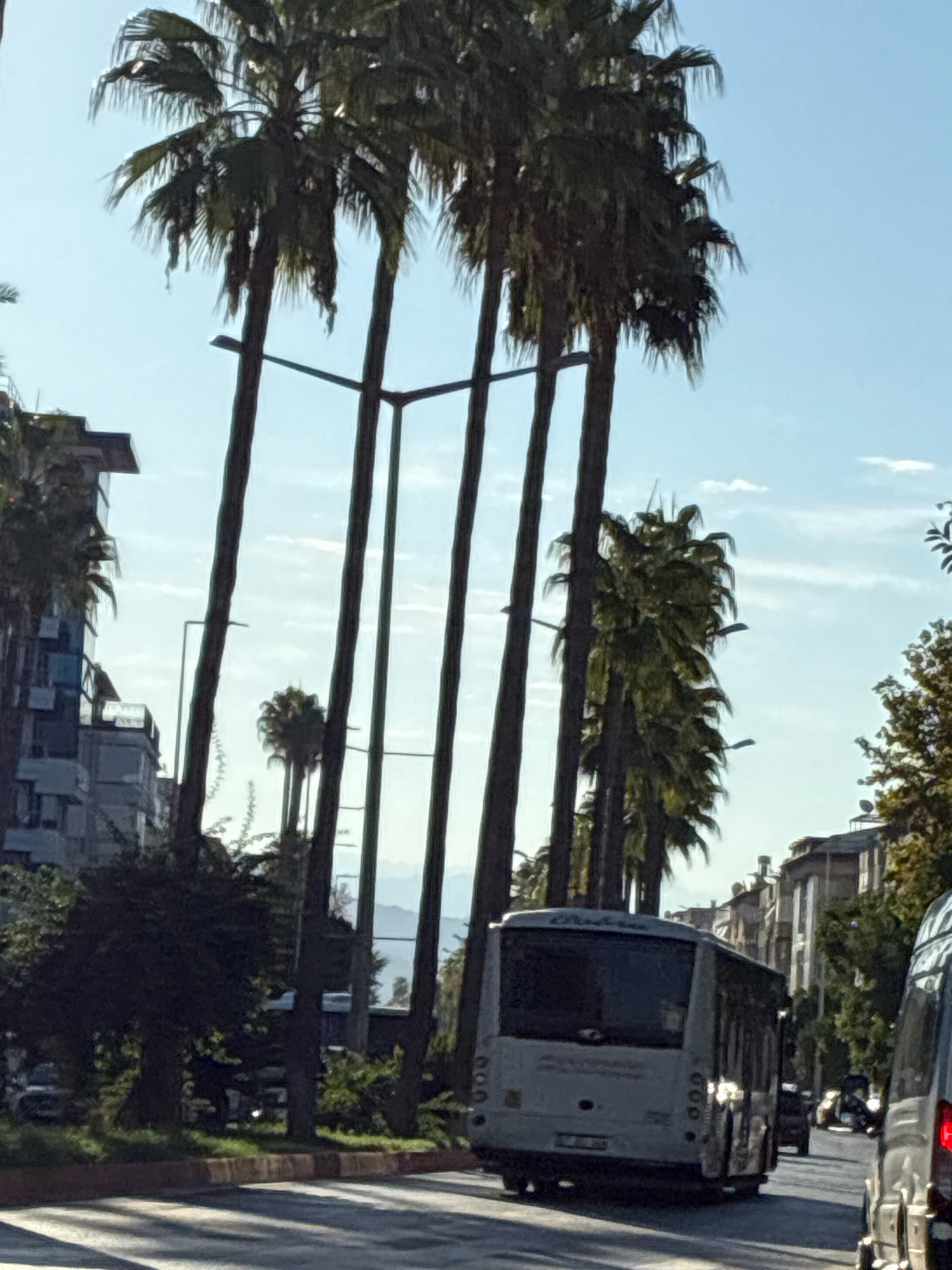The image captures a street scene in Alanya, Turkey, dominated by tall palm trees lining the road. A white bus with the license plate "07 E 3424" is visible in the foreground, driving on a paved road. In the background, buildings with multiple stories and windows are present, suggesting an urban environment. The sky is clear blue with scattered clouds. The overall impression is a sunny day in a coastal city.