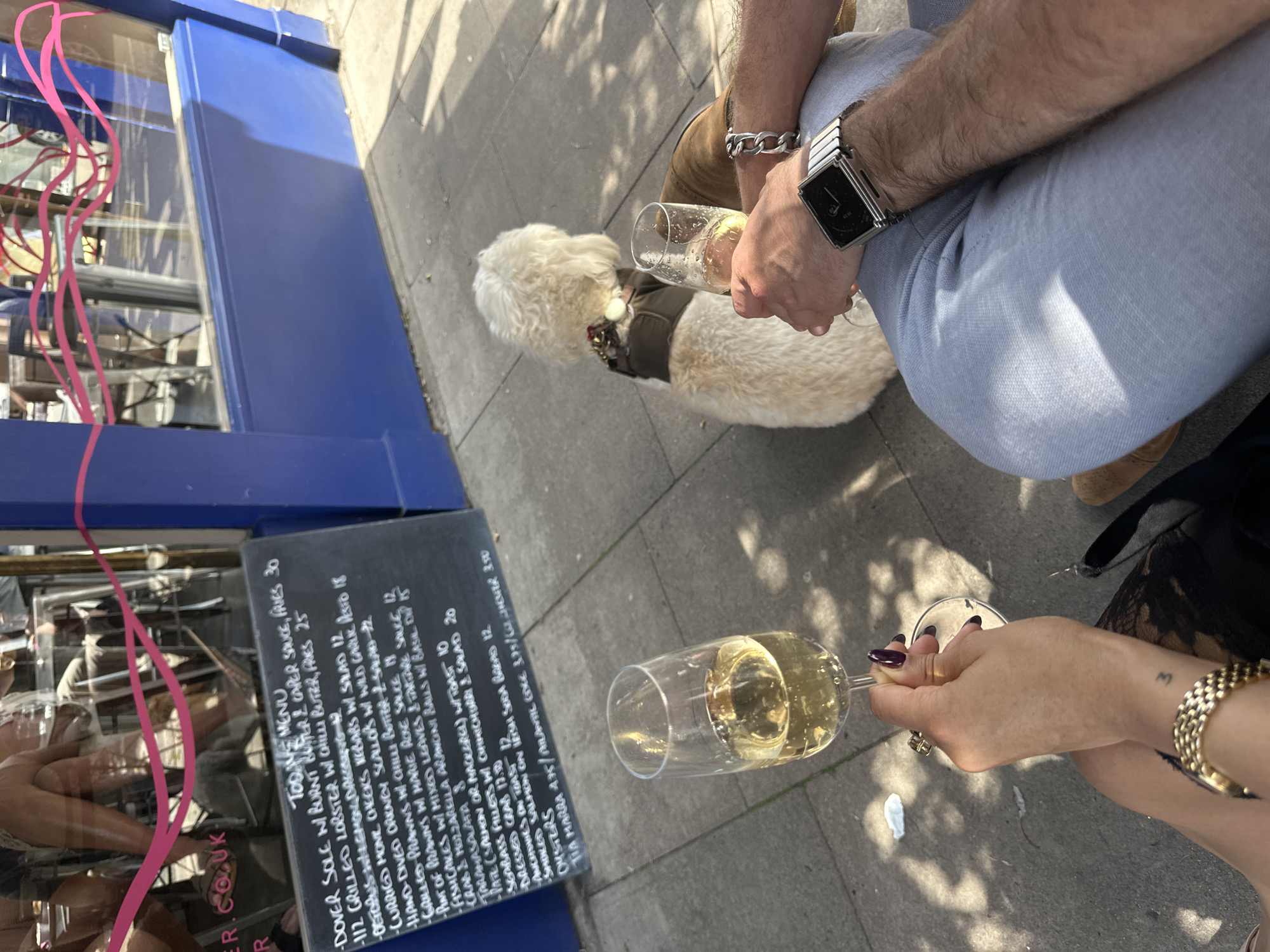 Here is a detailed description of the image:
**Scene Overview:**
The image appears to be taken on a street in a city environment. It shows two people with glasses of white wine, along with a dog sitting beside them. A menu board is visible, indicating a restaurant setting.
**People:**
* Two individuals are present, visible through their hands and arms. One person is wearing a silver watch and bracelet, holding a glass of wine.
* The second person is wearing a gold bracelet and has tattoos on their wrist, also holding a glass of wine.
**Subjects/Objects:**
* Dog: A small, light-colored dog wearing a harness sits attentively beside one of the individuals.
* Wine Glasses: Two glasses are filled with white wine.
* Menu Board: A chalkboard menu displays a list of seafood-focused dishes with their prices (e.g., Dover Sole, Grilled Lobster).
* Restaurant Facade: A blue-painted building with a window is visible.
**Actions/Interactions:**
* The people are likely dining or having drinks at an outdoor restaurant.
* The dog seems to be accompanying them.
**Environment:**
* Location: Based on the architecture, menu options, and overall atmosphere, the image could be taken in London, United Kingdom.
* Street: The scene takes place on a paved outdoor area, probably a sidewalk or terrace.
* Lighting: The scene is well-lit, suggesting it's daytime, with dappled shadows from trees.