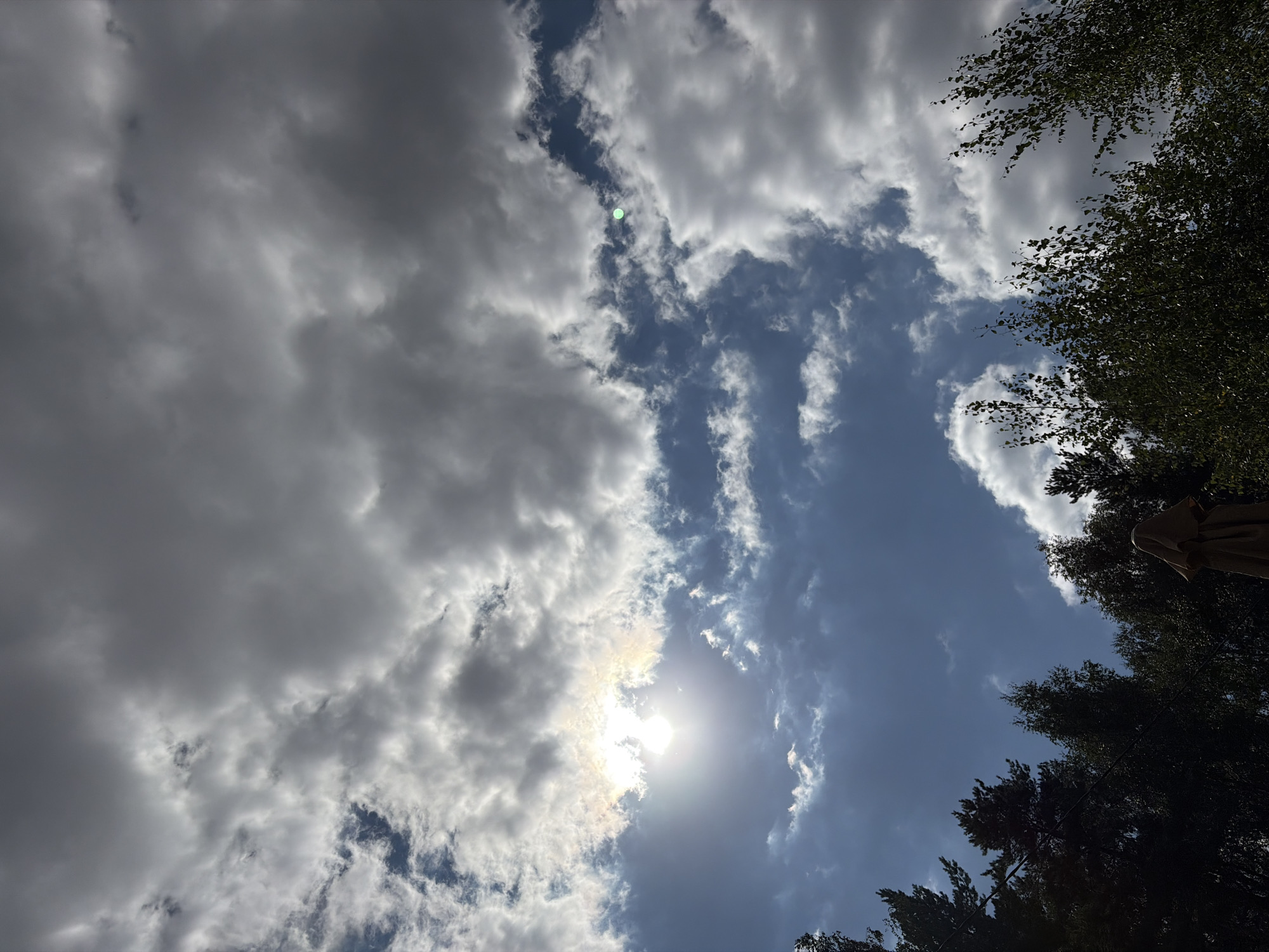 The image displays a view of the sky with a canopy of trees at the bottom, and an umbrella in the foreground. The sky is filled with a mix of dark, heavy clouds and lighter, more scattered ones. The sun is visible, partially obscured by clouds, casting a bright glow. A small, circular green object is also present in the sky. The trees are dark silhouettes against the sky, with some branches and leaves visible. The umbrella is covered with a light-colored fabric and appears to be closed. The scene is outdoors, with the viewpoint looking upwards. The location is specified as Imeni Vorovskogo, Russia.