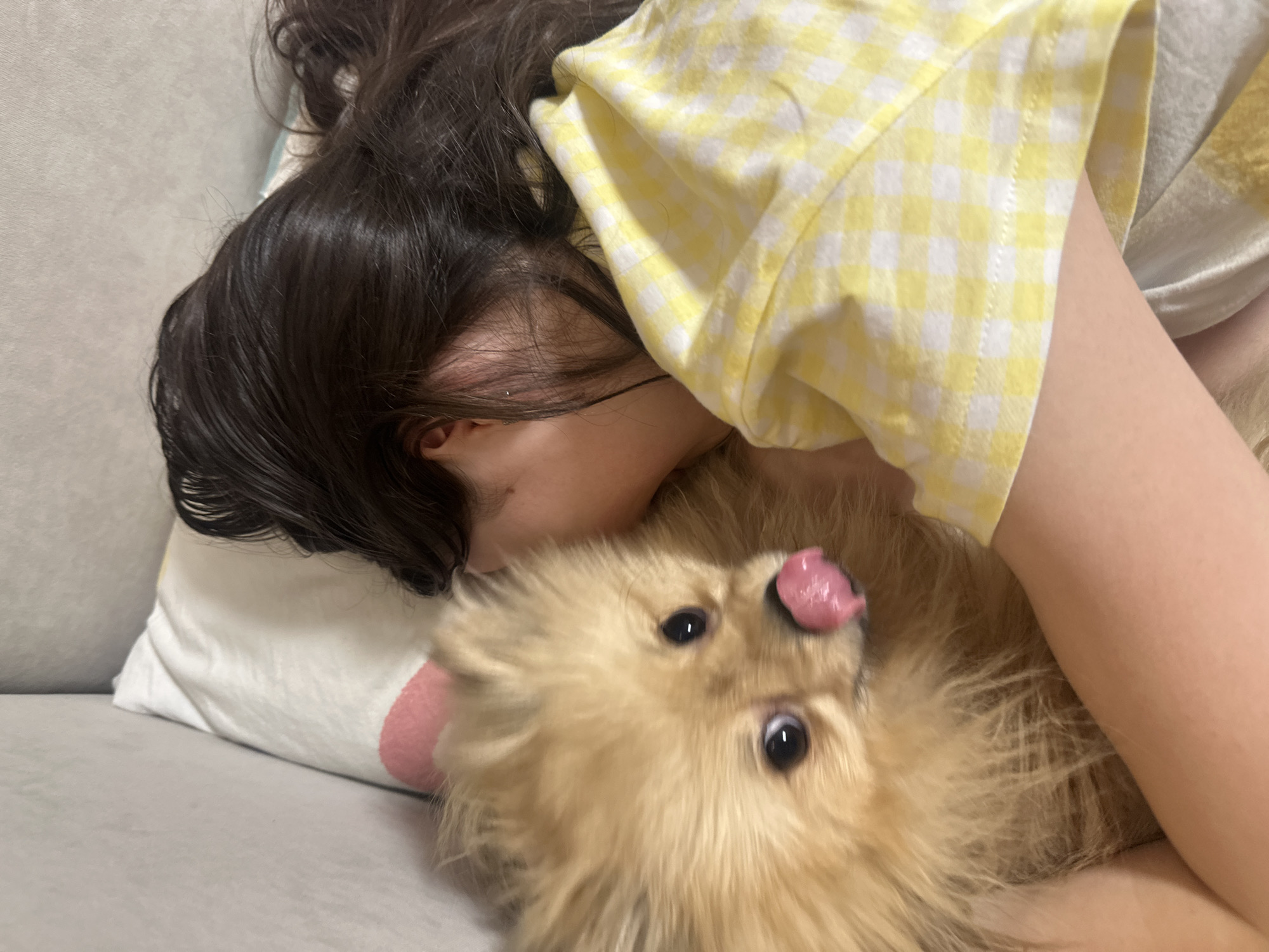 A person with dark hair and wearing a yellow and white checkered shirt is lying on a gray surface, likely a couch or bed, next to a light-brown Pomeranian dog. The dog is on its back and has its tongue sticking out. The person appears to be cuddling or interacting closely with the dog. The background is out of focus, but it appears to be a domestic indoor setting. There is a white pillow on the left. The location in the city of Votkinsk, Russia is not discernible from the provided image.