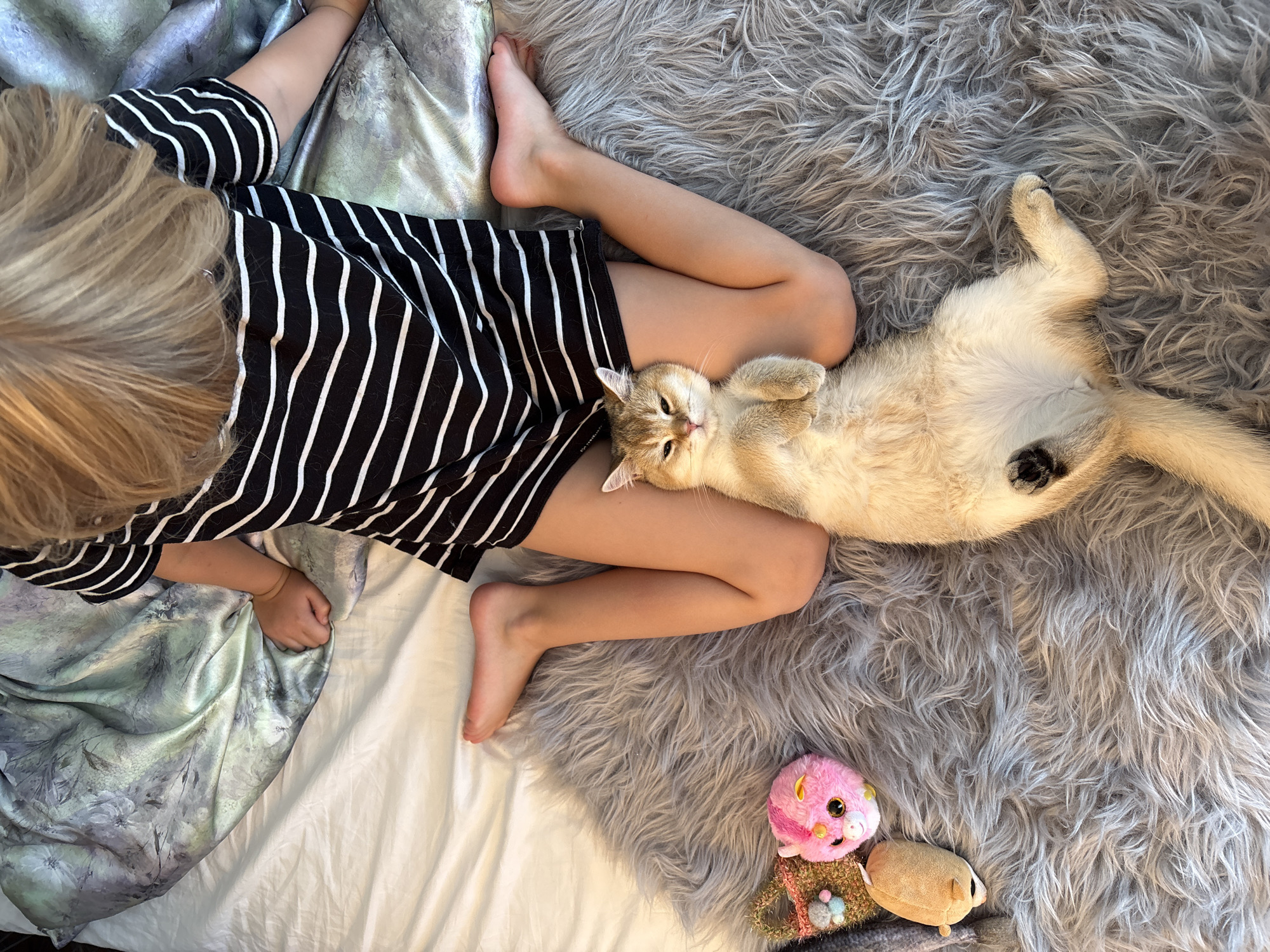 This image depicts a person, likely a child, wearing a black and white striped dress, sitting on a bed with their legs spread. A light-colored cat is lying on its back between the person's legs, on a gray, fluffy rug. The cat appears relaxed and is facing the camera with its paws up. To the left of the cat, on the rug, are several small stuffed toys, including a pink unicorn and a brown bear-like toy. The background consists of a white bedsheet and a patterned duvet with floral motifs in shades of green and blue. The lighting suggests an indoor environment. The image is a top-down view. There is no specific indication of the location within Bönnigheim, Germany.