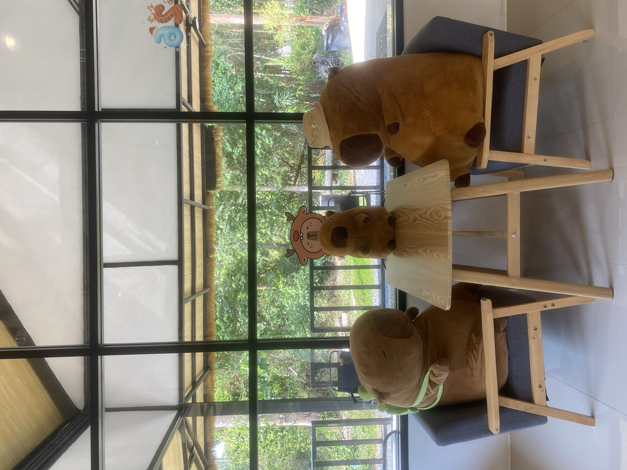 Three plush capybara toys are playfully arranged around a small wooden table within an indoor setting, looking out onto a lush, green landscape. Two of the large, brown capybara plush toys are seated upright on grey upholstered chairs with light wooden frames, positioned on either side of the small, light-colored wooden table. One capybara wears a small straw hat, while the other has a green strap or sash around its body. A third capybara toy is also present, and a separate, cartoonish cutout of a smiling face with antlers is placed on the table in front of it, creating a charming and whimsical dining scene.
The room features large windows with dark frames, divided into multiple panes, offering an expansive view of dense green foliage and numerous trees outside. The bright, natural light indicates it is daytime. Architectural details include a sloped roof structure with light-colored panels and dark beams, visible near the top of the interior and reflected in the window panes. The floor is covered with light-colored tiles. A small, decorative item with red and blue elements, possibly depicting the letters "Sp" or "5p" along with a snowflake, is affixed to an upper window pane. The overall atmosphere is cozy and inviting, suggesting a relaxed environment in a location consistent with Choeng Thale, Thailand.