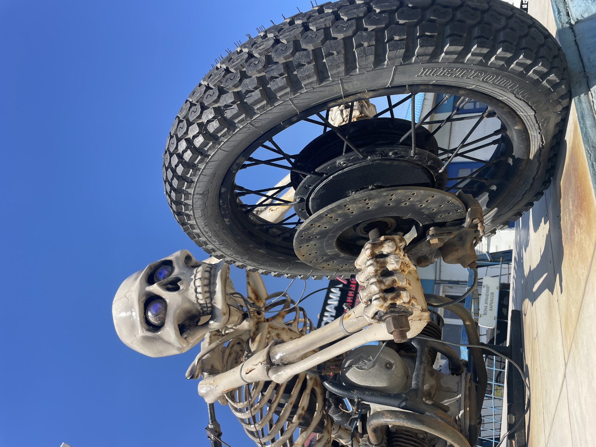A skeletal sculpture of a person riding a motorcycle is displayed outdoors under a clear blue sky. The sculpture is made of bone-like material and is mounted on what appears to be a custom-built motorcycle. The skeleton is seated on the motorcycle, with its bony hands gripping the handlebars. The motorcycle features a large, knobby tire with visible tread, a disc brake, and an engine. In the background, there are buildings with a blue roof and fencing. A sign in Cyrillic lettering is visible on the motorcycle's frame. The ground beneath the sculpture is paved with tiles, and shadows are cast by the sculpture and the motorcycle. The image seems to be taken from a low angle, looking upwards. The location is identified as Kamensk-Shakhtinsky, Russia.