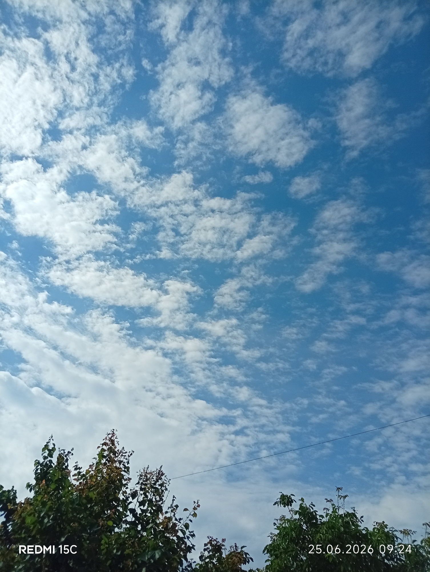 The image shows a bright blue sky with scattered white clouds. In the foreground, the tops of several trees with green and reddish-brown leaves are visible. A thin black wire stretches horizontally across the upper portion of the image. The bottom left corner displays "REDMI 15C" and the bottom right corner shows "25.06.2026 09:24". The scene appears to be an outdoor setting with a clear sky, typical of a daytime environment. There are no people or visible structures other than the trees. The timestamp suggests the photo was taken on June 25, 2026, at 9:24 AM.