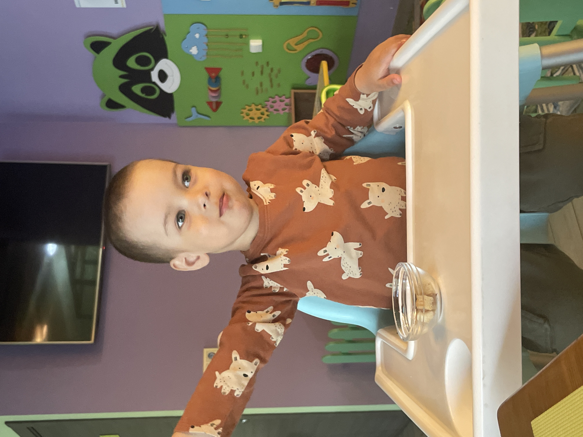 A young child wearing a brown long-sleeved shirt with white dog patterns sits in a high chair. The high chair is white with a clear plastic bowl containing small, possibly cubed food items attached to the tray. The background shows a purple wall with a green, cartoonish raccoon and other shapes affixed to it. A television is mounted on the wall as well. The location is presumably indoors in a child-friendly environment. There is no specific information in the image indicating the city of Izhevsk, Russia.