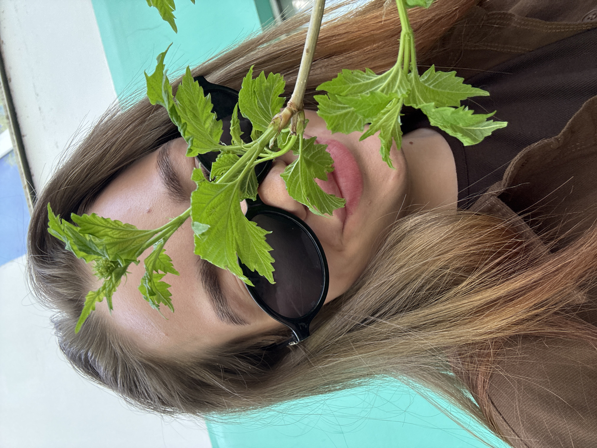 A young woman is seen from a close, oblique angle. She is lying down with her face angled towards the camera. She is wearing dark sunglasses, and a sprig of green leaves is positioned in front of her face, partially obscuring her eyes and mouth. She has light brown hair with lighter brown highlights that is spread around her face. She is wearing a brown shirt or jacket. The background includes a window frame and a light turquoise surface. No information is given in the image that confirms it was taken in Chaikovsky, Russia.