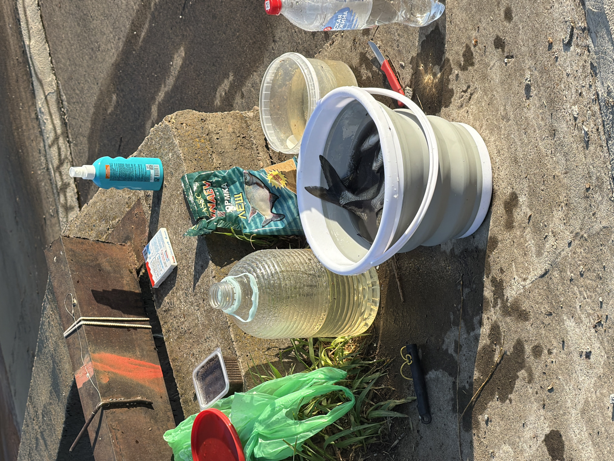 On a concrete surface in Chaikovsky, Russia, a collection of fishing-related objects is arranged. A collapsible bucket contains several fish. Nearby are a package of fish food with "NAEV" printed on it, a container of water, a plastic bottle of water, a red-handled knife, a bottle of blue liquid, a Kinder Surprise box, a large clear plastic bottle with yellow liquid, a small container, a red bowl, a green plastic bag, and a black multitool. Grass and debris are present around the objects. A metal object with some red paint is also in the scene.