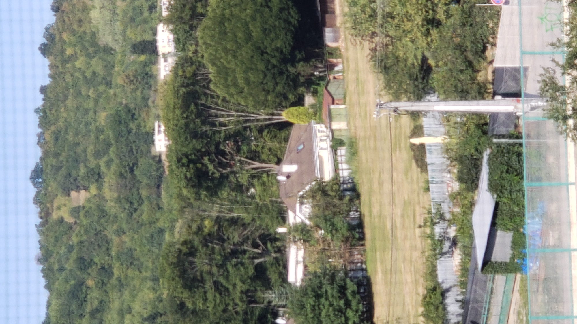 The image captures a hillside densely covered with deciduous trees, likely in a suburban or rural area on the outskirts of Prešov, Slovakia. In the mid-ground, several structures are visible. A prominent house with a brown roof and light-colored walls features dormer windows and chimneys. Adjacent to it are smaller buildings, possibly garages or sheds, with various roofing materials. A grey metal fence runs across the middle ground, separating the property from a grassy field. Further down, a modern, vine-covered structure with a grey roof is present, along with other fencing and vegetation. A utility pole stands in the foreground, and a light blue fence runs along the bottom edge of the image. The overall scene suggests a tranquil, natural setting with residential elements.