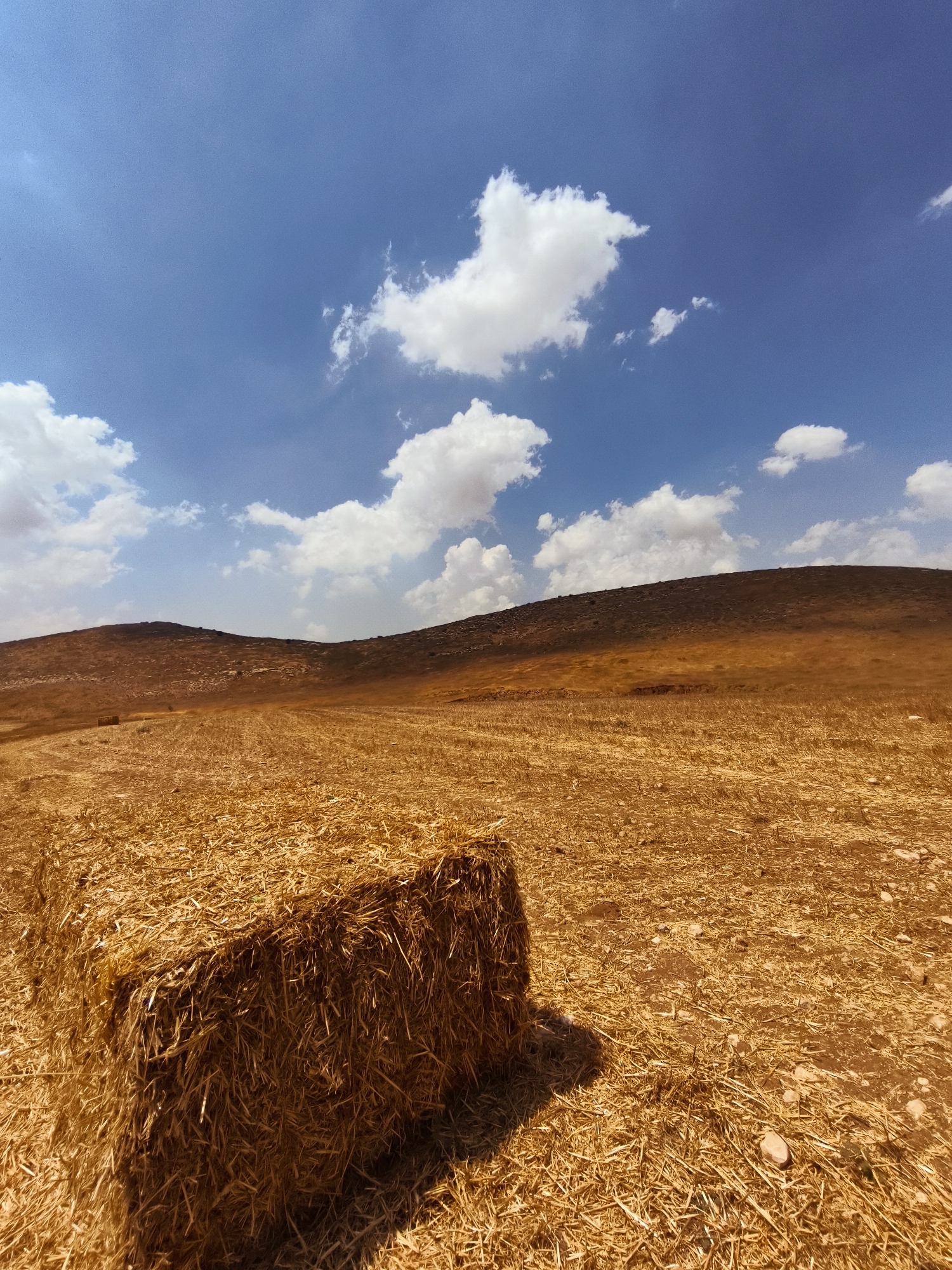 A rectangular bale of dried hay rests in the foreground of a harvested field under a bright blue sky dotted with white clouds. The field is covered in stubble and scattered stones, with gentle, brown, arid hills rising in the background. The overall impression is one of a dry, sun-baked rural landscape in the Lachish Regional Council, Israel.