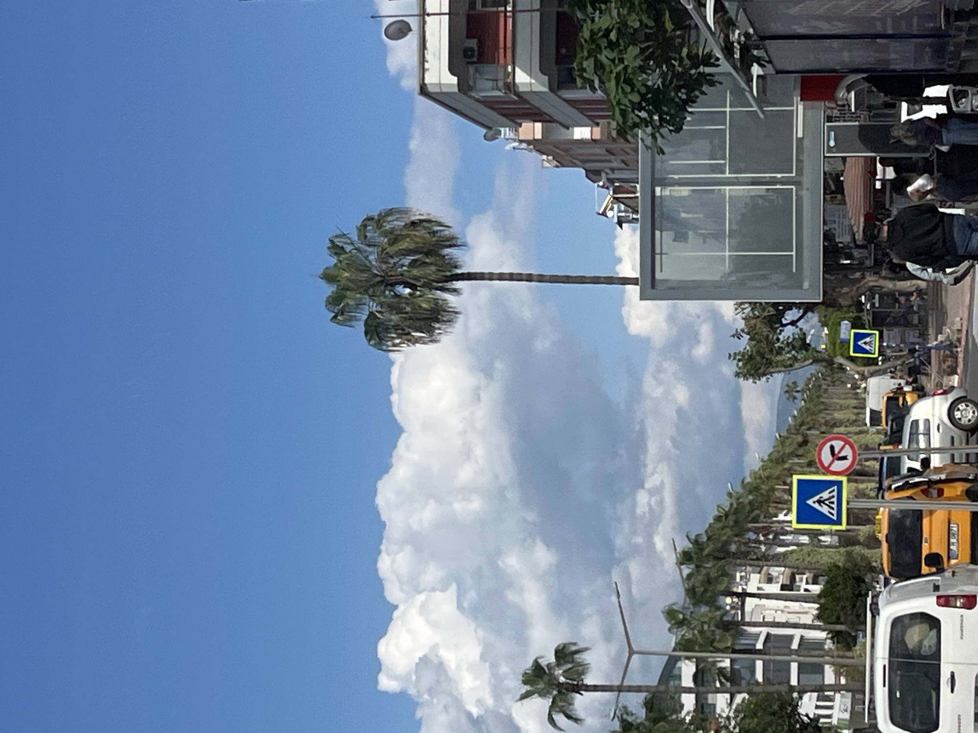 The image shows a street scene in Alanya, Turkey, characterized by a mix of urban and natural elements. A tall palm tree stands prominently against a backdrop of blue sky and white clouds. Multi-story buildings are visible on one side of the street. The street is lined with palm trees and various vehicles, including white vans and yellow taxis. Pedestrian crossing signs are visible along the street. People are present on the sidewalk, indicating a lively urban environment.