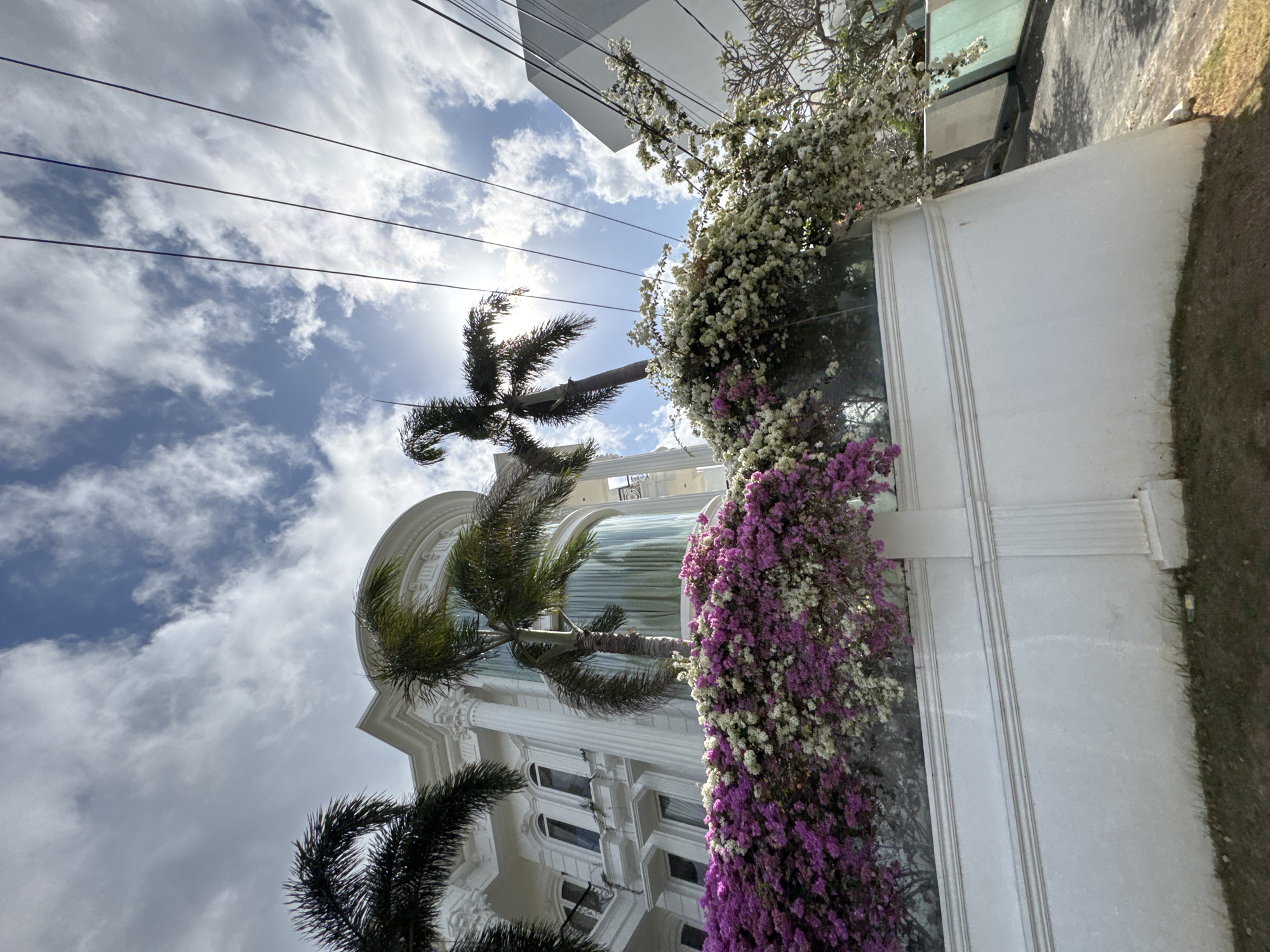 The image depicts a white, multi-story building with classical architectural elements, including columns and decorative moldings, possibly a villa or a luxury residence, in Kuta Selatan, Indonesia. The building is adorned with an abundance of blooming bougainvillea flowers in vibrant shades of purple and white, cascading over a white wall and a glass fence. Several palm trees with feathery fronds are visible, some in front of and some beside the building, their leaves reaching towards a bright, cloudy sky. Power lines are strung across the upper portion of the frame, diagonally crossing the sky. To the right of the main building, a modern, flat-roofed structure with grey walls is partially visible. The foreground shows a patch of dry grass and some debris on the ground, suggesting an outdoor area. The overall scene conveys a tropical luxury setting.