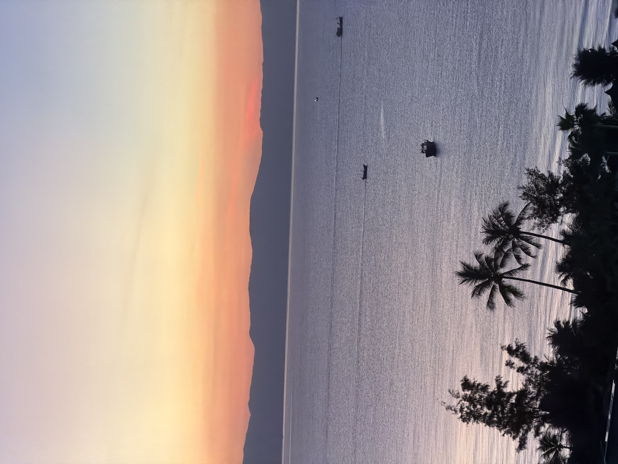 This is a high-angle, vertical, full shot of the ocean at sunset with silhouettes of trees and a mountain range. The sky transitions from a soft lavender at the top to a warm orange and pink glow near the horizon. The ocean is a shimmering expanse of light purple, with a few small boats scattered across it. The foreground features a dark silhouette of palm trees and other foliage. In the middle ground, a dark, hilly mountain range stretches across the horizon, separating the sea from the sky. The scene appears to be located in Dong Ninh Hoa Ward, Vietnam, given the presence of tropical foliage and the calm sea, indicative of a coastal area in Southeast Asia. No people are visible in the image.
