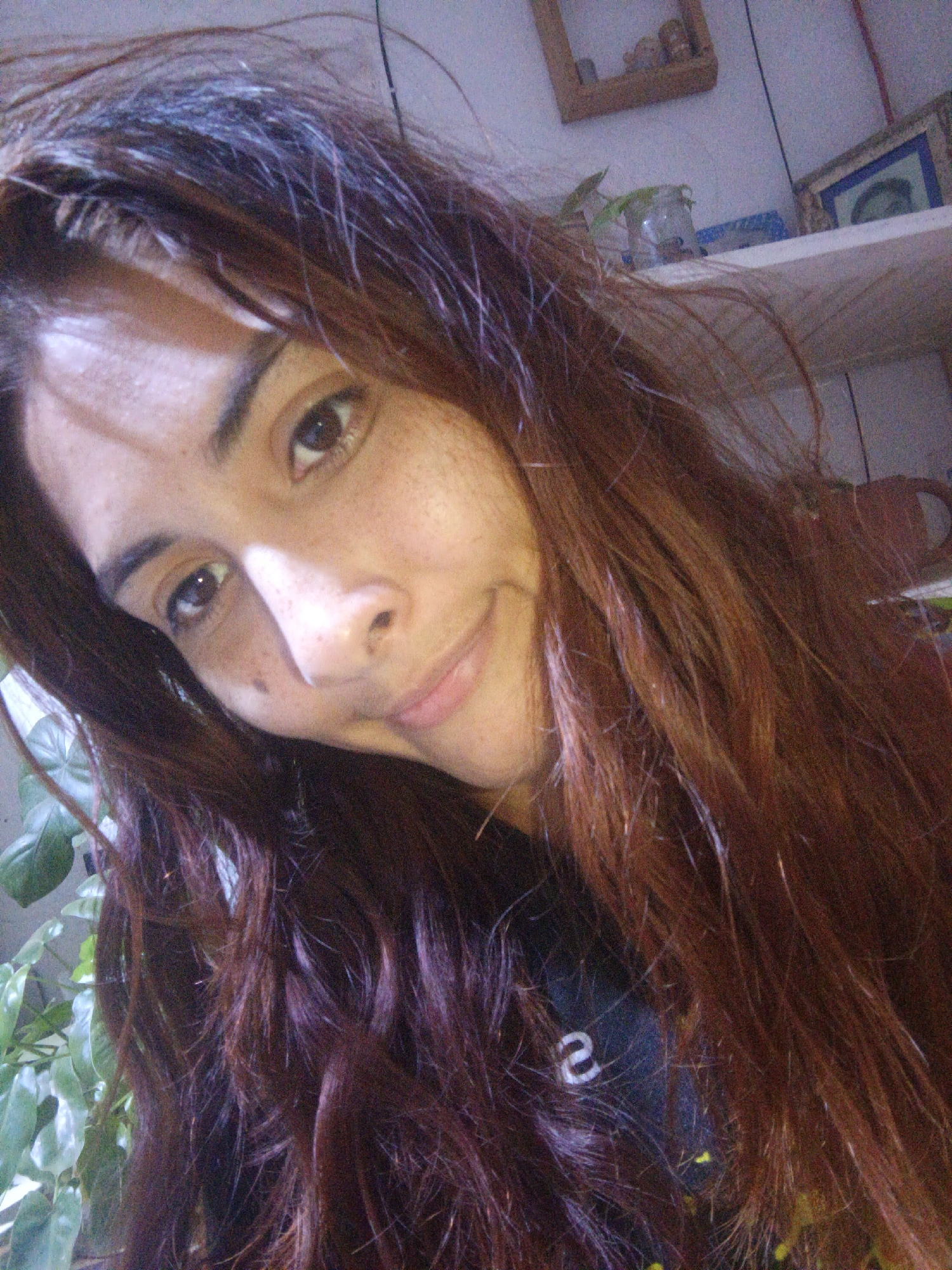 A close-up selfie depicts a woman with long, auburn hair and fair skin. She has noticeable freckles on her face, particularly around her nose. Her gaze is directed towards the camera with a slight, subtle smile. The background includes a potted green plant on the left, a white shelf with various objects on it, and a framed picture on the wall. A small wooden frame also adorns the wall. The woman is wearing a dark-colored top with a white number "2" visible on it.