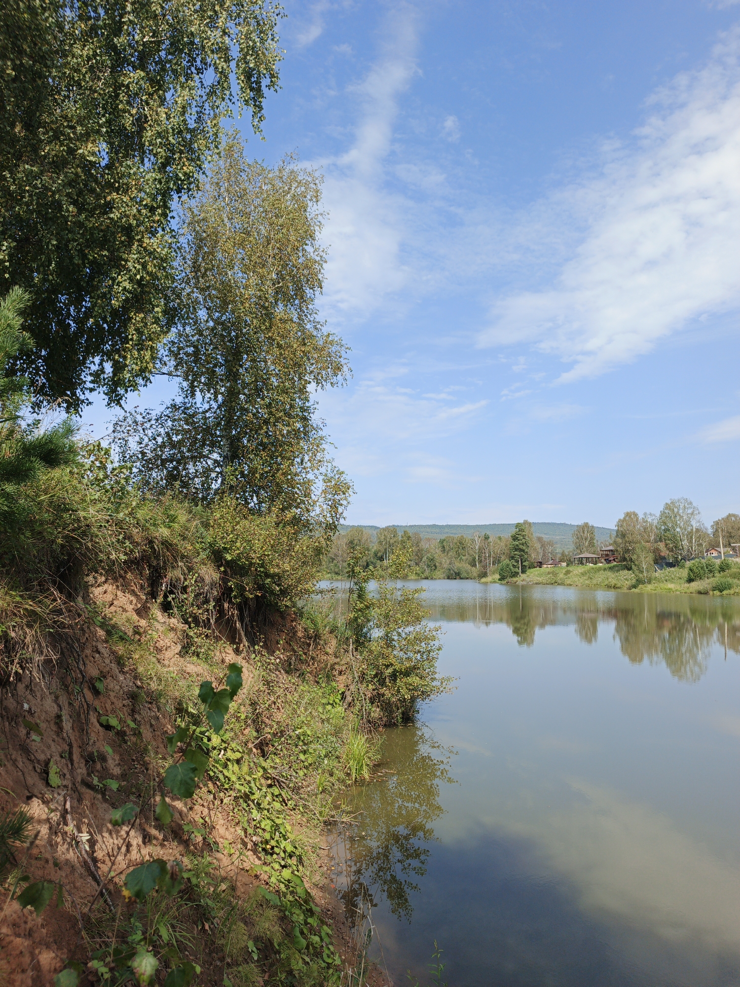 The image depicts a serene natural landscape with a focus on a calm body of water and its surrounding vegetation. In the foreground, a steep, eroded dirt bank covered in various green plants, including grasses and small bushes, slopes down towards the water's edge. A few trees with green and yellowing leaves are visible on the bank, with one prominent birch tree in the mid-left.
The water itself is still and reflects the blue sky and the trees on the opposite bank. The sky is a clear blue, dotted with scattered white clouds. Across the lake, a gently sloping shoreline is lined with a variety of trees, some appearing to be deciduous and others coniferous. A few small buildings, possibly houses or cabins, are nestled amongst the trees on the far bank. In the distance, rolling hills covered in green foliage complete the scenic view.
The scene appears to be located in or near the village of Urtiushka, Russia, given the natural setting, vegetation, and architecture visible in the image, which is consistent with rural Russian landscapes. No people or animals are present in the image, and the overall impression is one of tranquility and natural beauty.