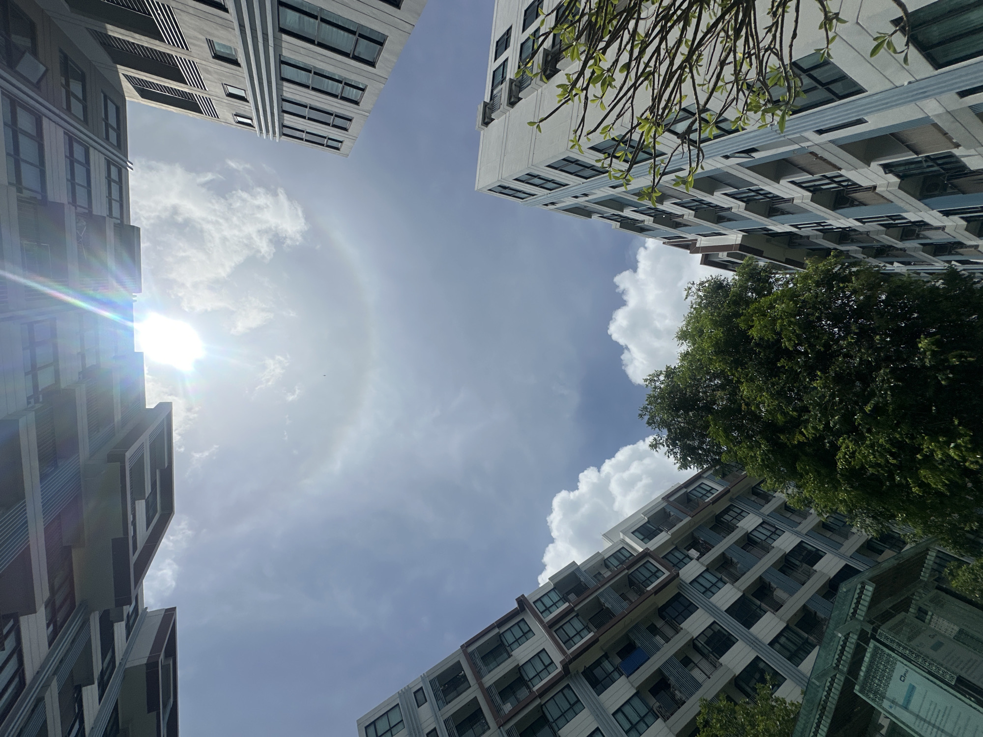 This image is a low-angle shot of modern apartment buildings in Wichit, Thailand, with the sky and sun visible between them. A circular rainbow halo, known as a 22-degree halo, is present around the sun, indicating the presence of ice crystals in the atmosphere. The buildings are multi-story structures with balconies and numerous windows, typical of urban residential architecture. Lush green trees are interspersed among the buildings, providing a contrast to the man-made structures. The sky is partly cloudy, with patches of blue sky visible. The sun is bright and positioned towards the top center of the frame, with its rays creating a lens flare effect. There are no people visible in the image. The scene depicts a common urban landscape on a sunny day with a notable atmospheric optical phenomenon.