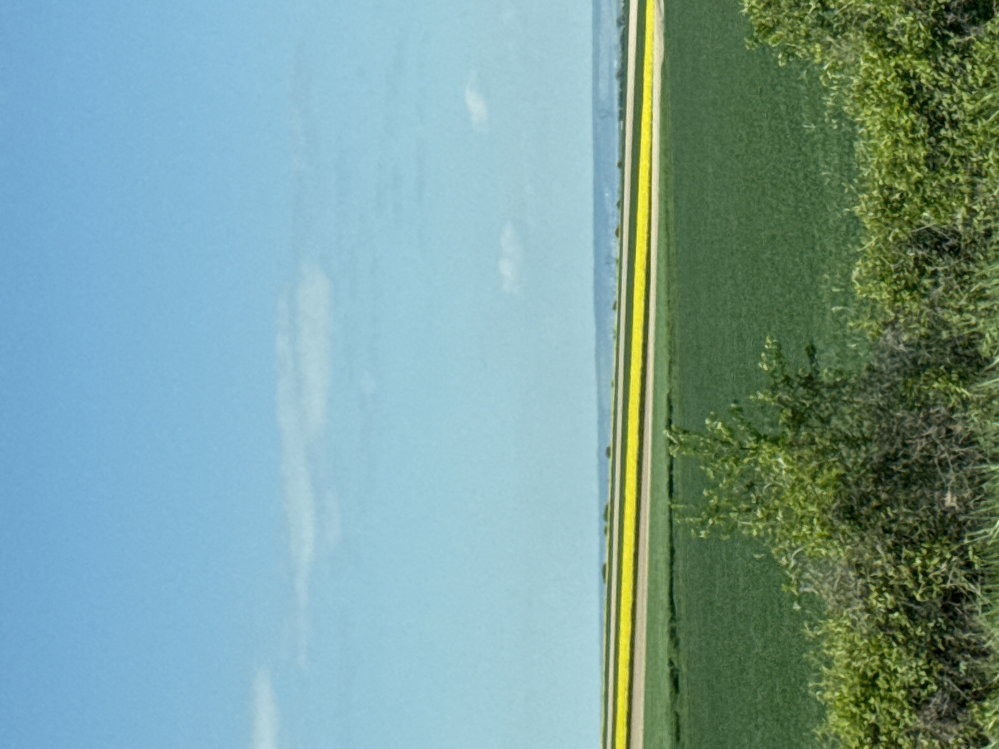 An aerial or elevated view captures a serene rural landscape in Vaudemange, France, under a clear, bright blue sky with sparse, wispy white clouds. The scene is dominated by expansive agricultural fields stretching towards a distant, slightly hazy horizon.
In the mid-ground, a striking pattern of cultivated land is visible. A prominent, long strip of vibrant yellow field, likely flowering rapeseed or canola, runs horizontally across the frame. Adjacent to it, to its right, is a narrow lighter-colored strip, possibly a dirt road or a fallow section, followed by a darker green field, likely a different crop such as wheat. This alternating pattern of yellow, light, and dark green fields repeats further into the distance, indicating organized agriculture.
On the far right side of the image, a dense cluster of lush green trees and bushes partially frames the view, extending along the edge of the green field. The natural lighting suggests it is daytime, possibly late morning or early afternoon, with fair weather. There are no people, structures, or discernible activities taking place, emphasizing the natural and cultivated beauty of the French countryside. No text is visible in the image.