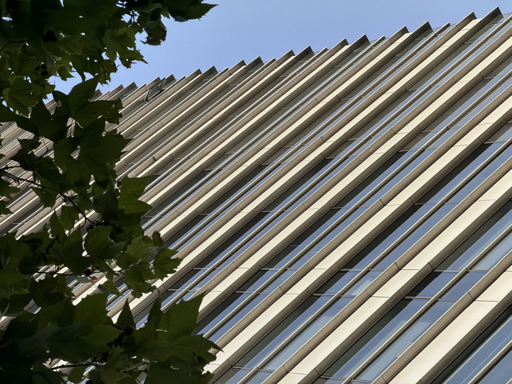 The image shows a close-up, low-angle view of the exterior of a modern skyscraper with a facade of horizontal bands of windows and beige-colored panels. The building is angled, appearing to recede into the sky on the right side of the frame. A clear blue sky is visible behind and above the building. In the upper left and right corners of the image, dark green leaves and branches of trees are visible, obscuring parts of the top of the building. The overall impression is one of urban architecture and nature interacting, with the building's geometric lines contrasting with the organic forms of the leaves. There are no people or specific actions depicted in the scene. The architectural style suggests a contemporary building, possibly in a business district, and the presence of trees indicates it is likely situated in a well-maintained urban area.