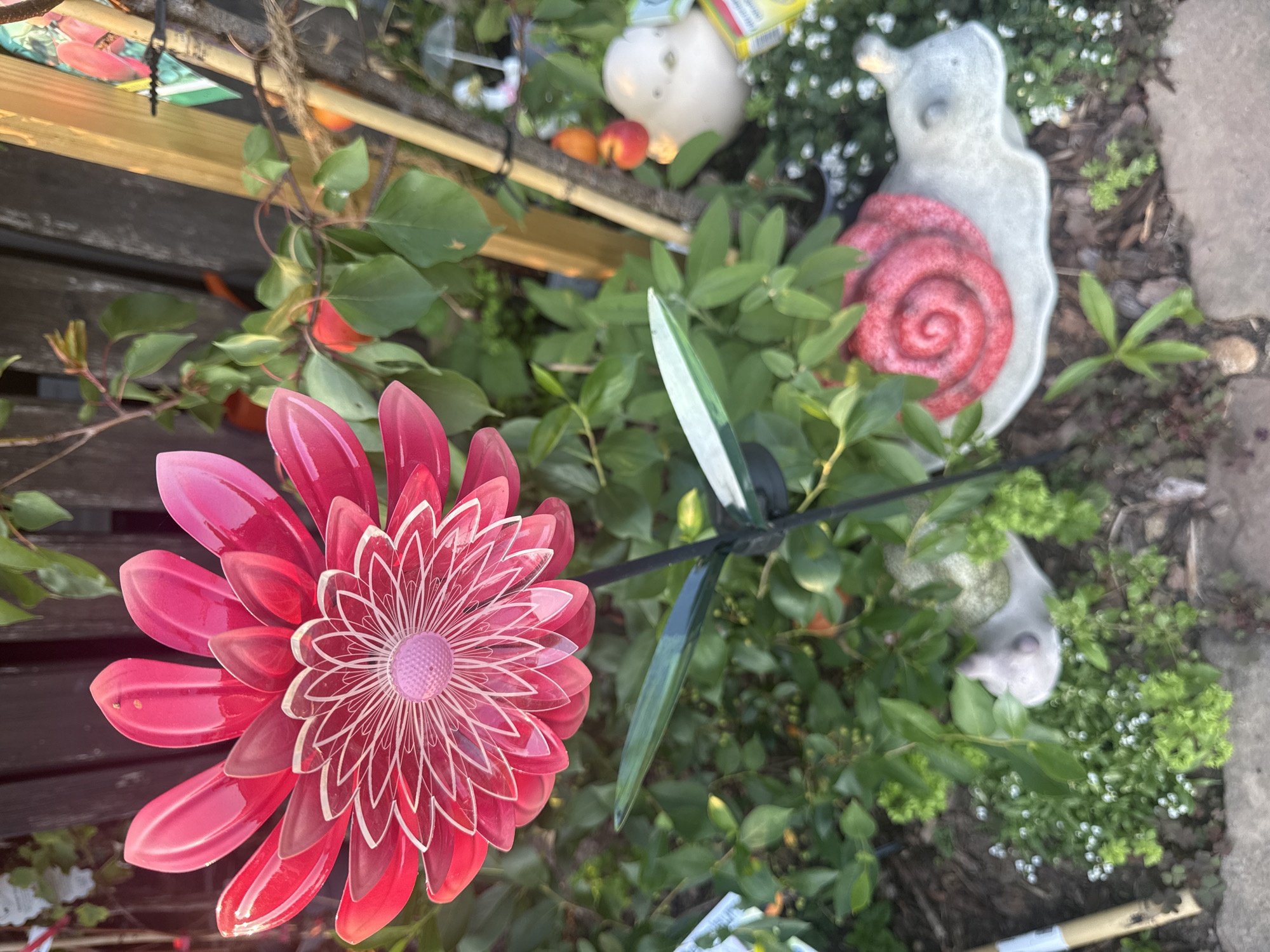 The image depicts a garden scene in Ihringshausen, Germany. A large, vibrant pink metal flower decoration is the central focus, positioned on a dark stake. The flower features intricate white petal detailing and a textured pink center. Surrounding the flower is lush green foliage, with some branches bearing small red fruits, possibly from an apricot tree.
In the foreground, towards the bottom right, a light gray garden ornament of a snail with a red spiral shell is visible. To the left of the snail, another small, light gray garden ornament, possibly a bird or rabbit, is partially obscured by greenery.
Further back, a rustic wooden fence forms the backdrop, with a vertical light-colored wooden post to the right. A small, white bird figurine holding an umbrella is placed on the post. The ground is covered with mulch and small white flowers. The overall setting suggests a well-maintained garden.