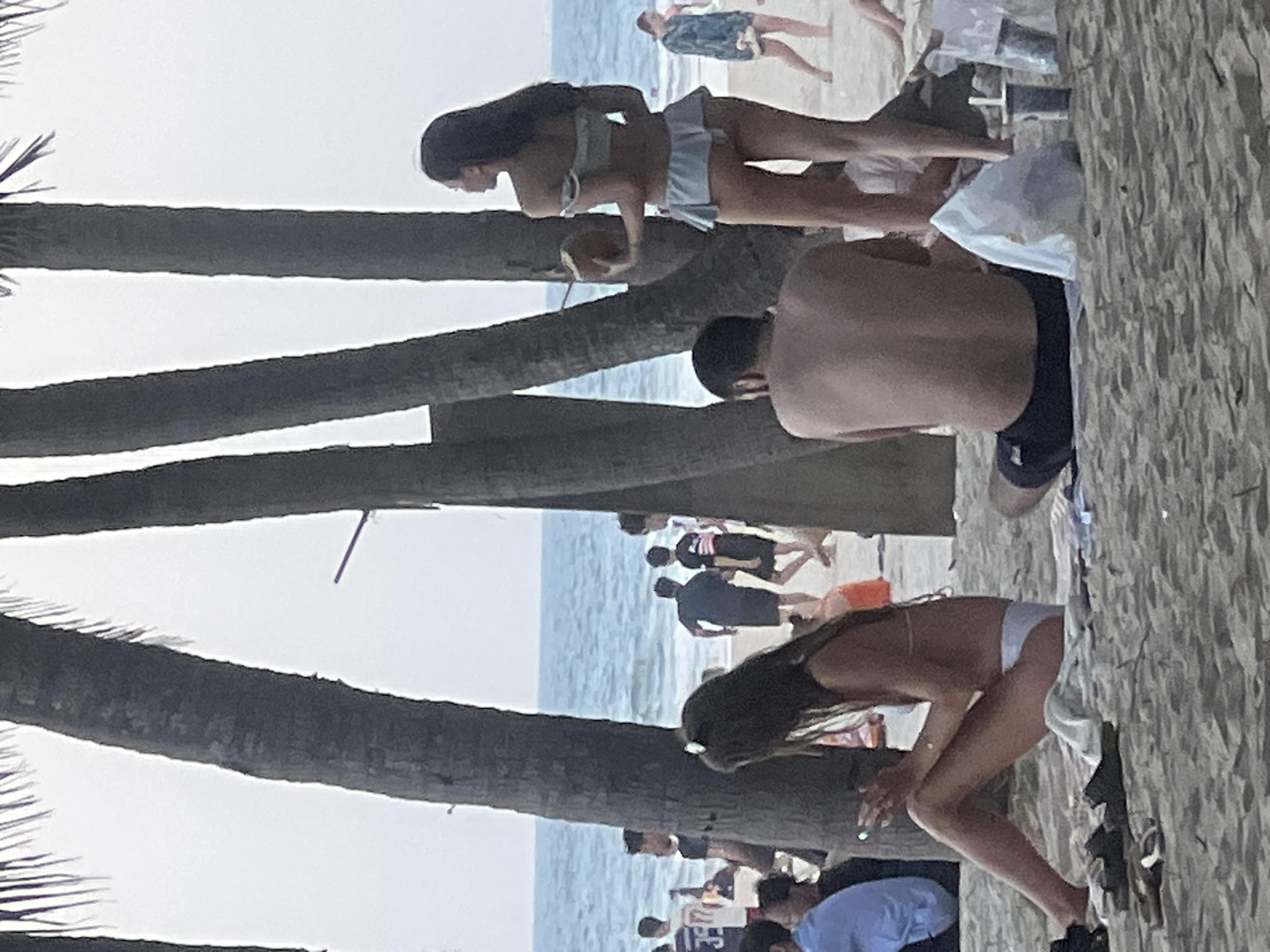The image depicts a beach scene in Da Nang, Vietnam, likely on My Khe Beach, a popular tourist destination known for its long sandy shores and palm trees. The foreground is dominated by sand, with several individuals seated and standing. In the left foreground, a woman in a bikini is seated on the sand, looking at her phone. Adjacent to her are sandals. Further back, a man is seated on the sand, facing away from the camera, wearing dark shorts. To the right of the man, a woman in a bikini stands holding a coconut, looking out towards the water. Her outfit consists of a light blue top and a matching skirt. Behind these figures, other beachgoers are visible, some walking along the shore or near the water's edge. The ocean, with gentle waves, forms the background, and the sky is overcast. Several palm trees with rough bark and fronds frame the scene, suggesting a tropical or subtropical coastal environment. The overall atmosphere is relaxed and casual, typical of a beach day.