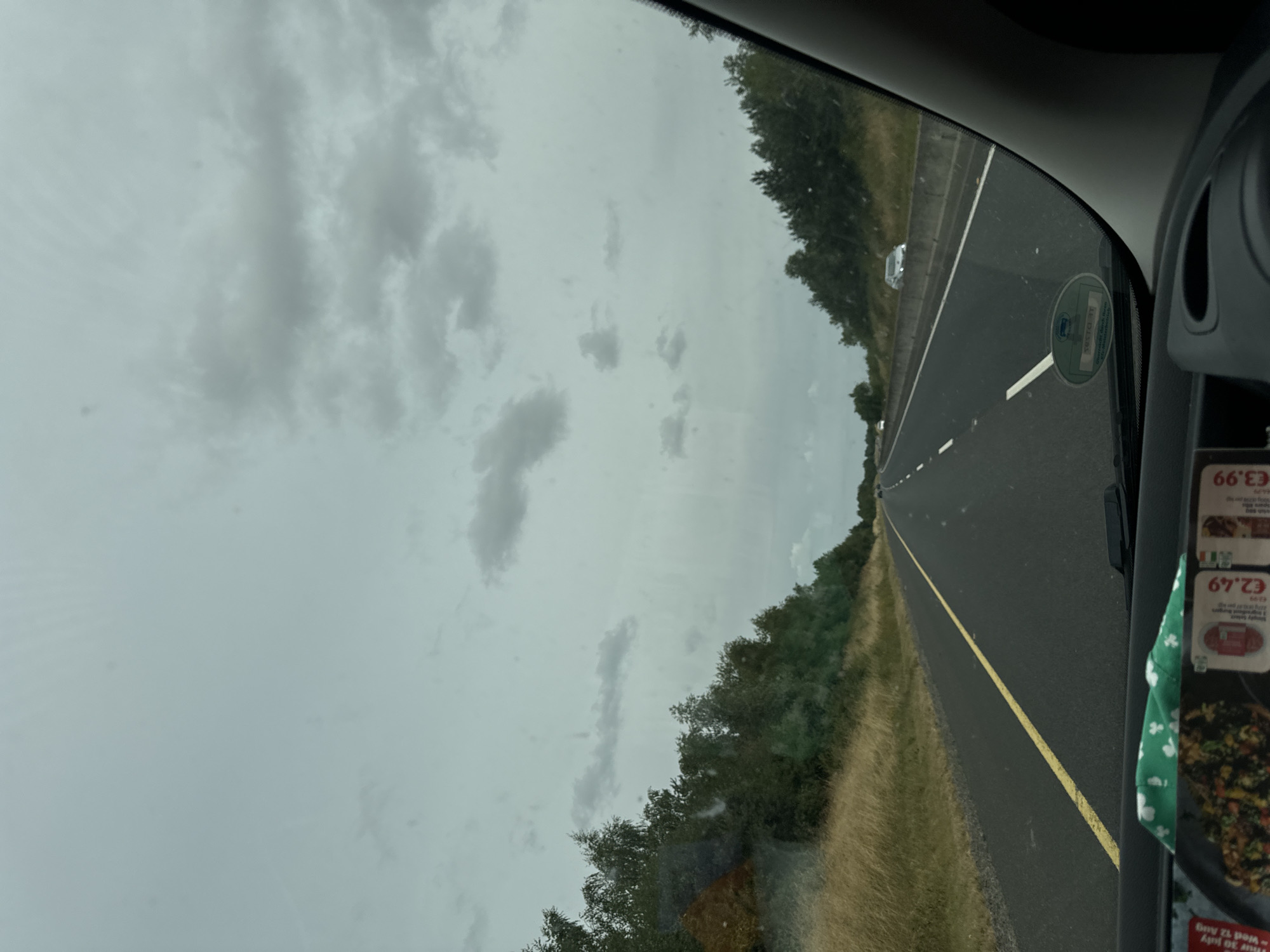 This is a first-person perspective, interior shot from a vehicle driving on a highway in Ireland under a cloudy, overcast sky. The road ahead is paved with asphalt and has a single yellow line marking the left lane, and white lines delineating the lanes. To the left of the road, there is a grassy verge and a dense line of trees and foliage. To the right, there is a concrete barrier and more trees. Several cars are visible in the distance on the highway. The lower portion of the image shows the vehicle's dashboard, which has a green cloth with shamrock patterns draped over it, and what appears to be a flyer with food items and prices displayed.