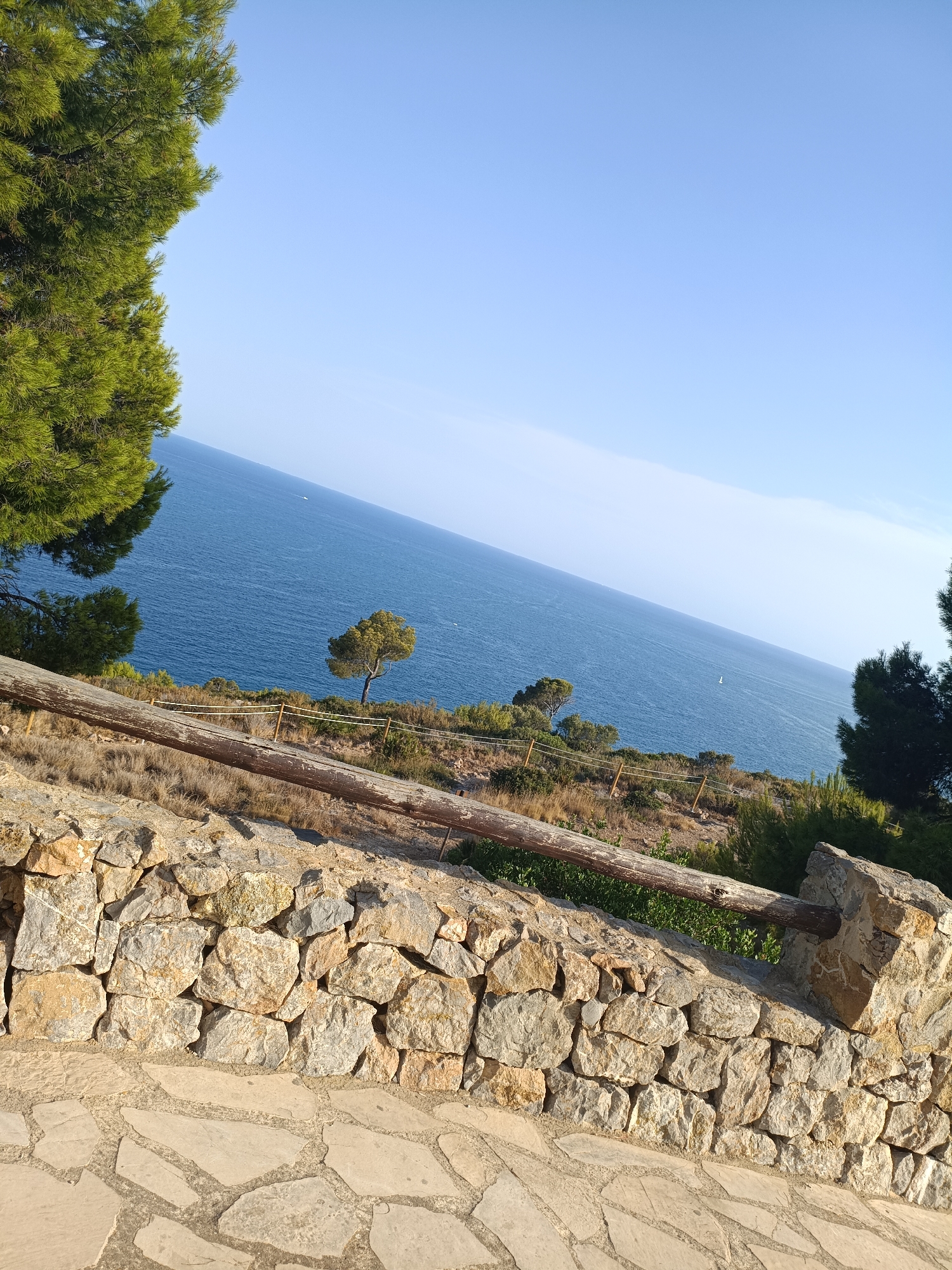 An eye-level, full shot captures a scenic view of the Mediterranean Sea from a stone wall and paved walkway in Orpesa, Spain. The foreground features a textured stone wall with irregular, light-colored stones, and a pathway made of flat, irregular flagstones set in a concrete base. A weathered wooden railing runs horizontally along the top of the stone wall, supported by a wooden post. Beyond the wall, dry, sparse vegetation covers a hillside dotted with trees. A low wooden fence with a rope barrier separates the vegetation from the sea. The deep blue Mediterranean Sea stretches across the mid-ground and into the background, with a clear, bright blue sky above. A small, lone tree stands on the grassy slope near the sea's edge, and a single white sailboat is visible on the water in the distance. Green pine trees frame the left side of the image, with their branches reaching into the upper left corner.