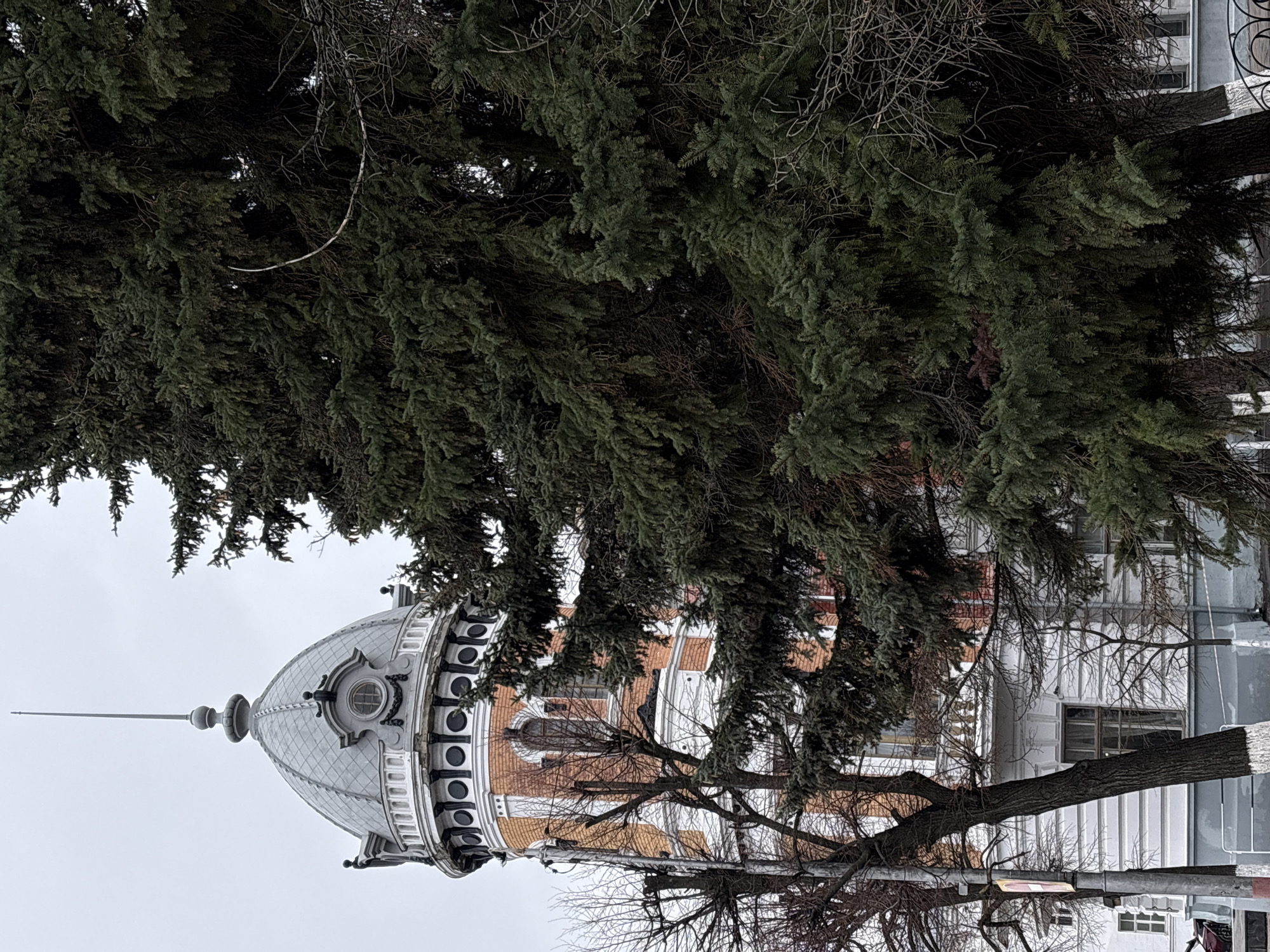 The image shows a view of the former Simbirsk Women's Gymnasium in Ulyanovsk, Russia, partially obscured by evergreen and bare trees. The building features a distinctive dome with a spire and ornate architectural details. The sky is overcast, suggesting a cloudy day. The gymnasium is a historical building, now repurposed, located in the city center.
