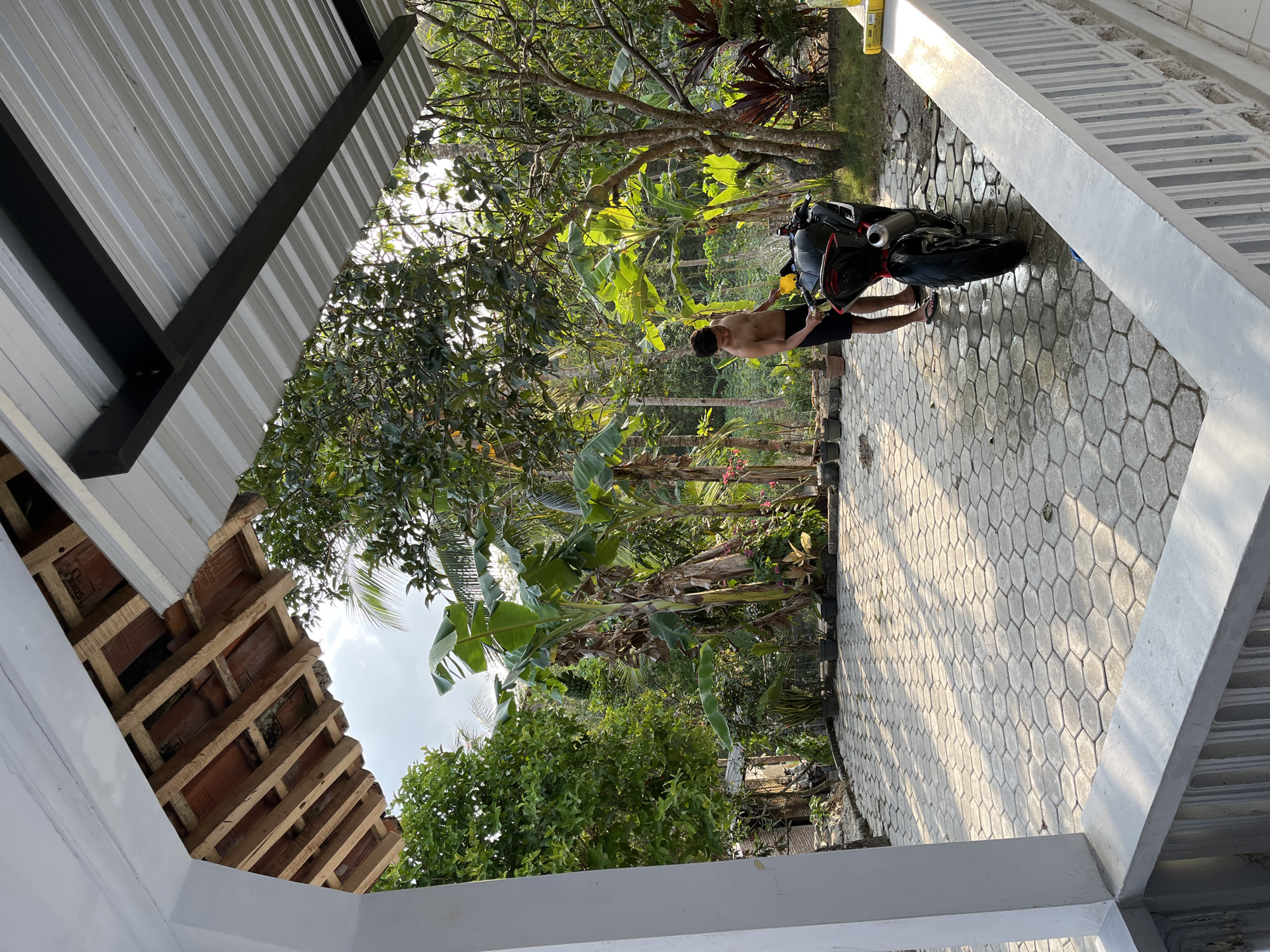 A young man is washing a black motorcycle with a yellow bucket under a covered patio. The patio has a hexagonal stone floor and is surrounded by lush tropical vegetation, including banana trees. The scene appears to be a residential area in Kemangguhan, Indonesia, likely a warm and sunny day.