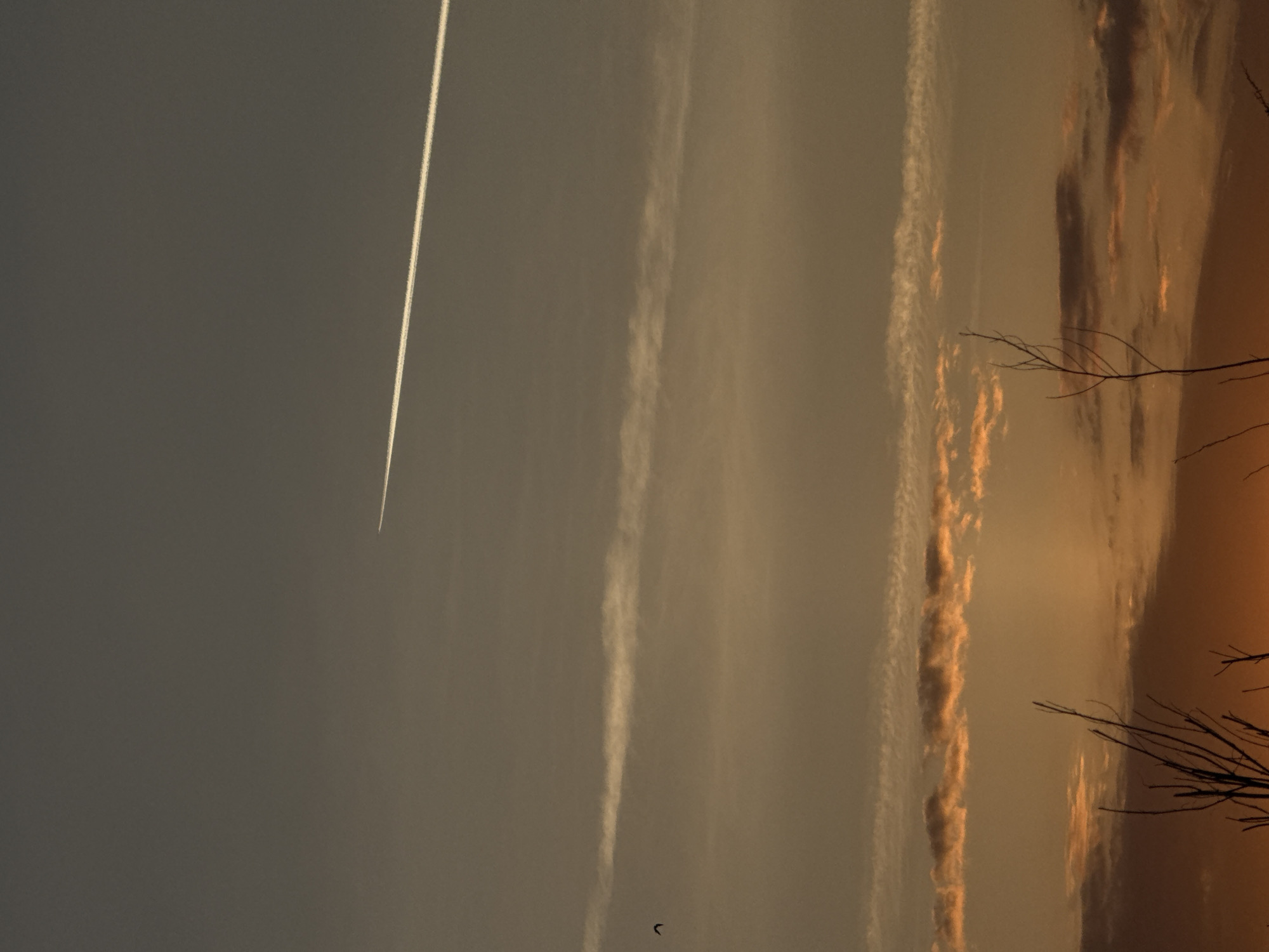The image depicts a sky, likely at dawn or dusk given the color gradients. A vapor trail cuts across the frame, suggesting a passing aircraft. There are also other linear cloud formations. In the lower part of the image, there are some silhouettes of branches. It is impossible to determine the city or location from the image alone.