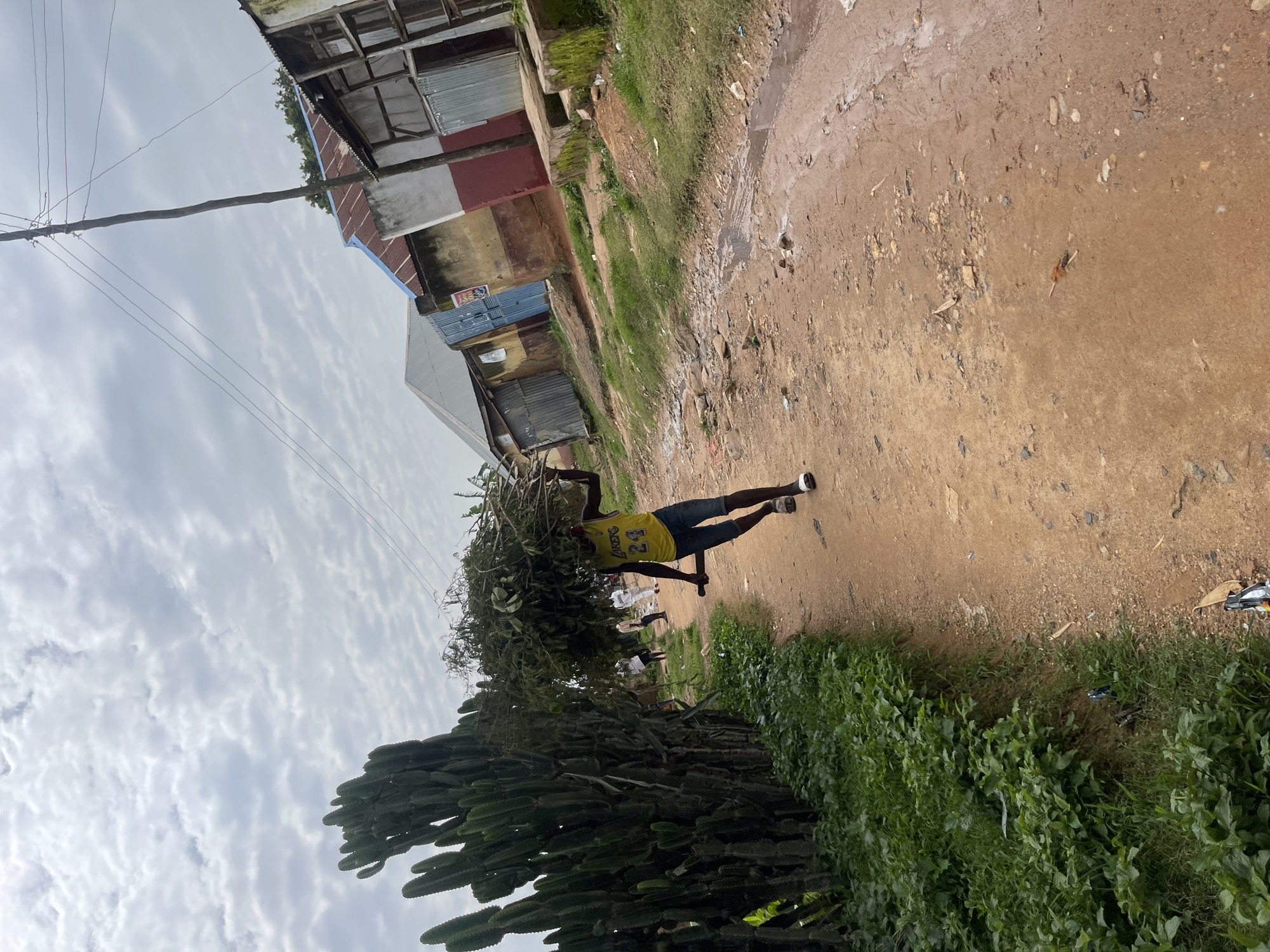 In Jos, Nigeria, a young man wearing a yellow Los Angeles Lakers basketball jersey with the number 24 and denim shorts carries a large bundle of branches and foliage on his head. He walks along a dusty, unpaved road lined with green vegetation on the left. In the background, several small buildings with corrugated metal roofs and varying colored walls are visible, suggesting a rural or semi-urban area. The sky is overcast with textured clouds. Other people are faintly visible in the distance walking along the road. The environment appears to be somewhat unkempt, with some puddles and debris on the road.