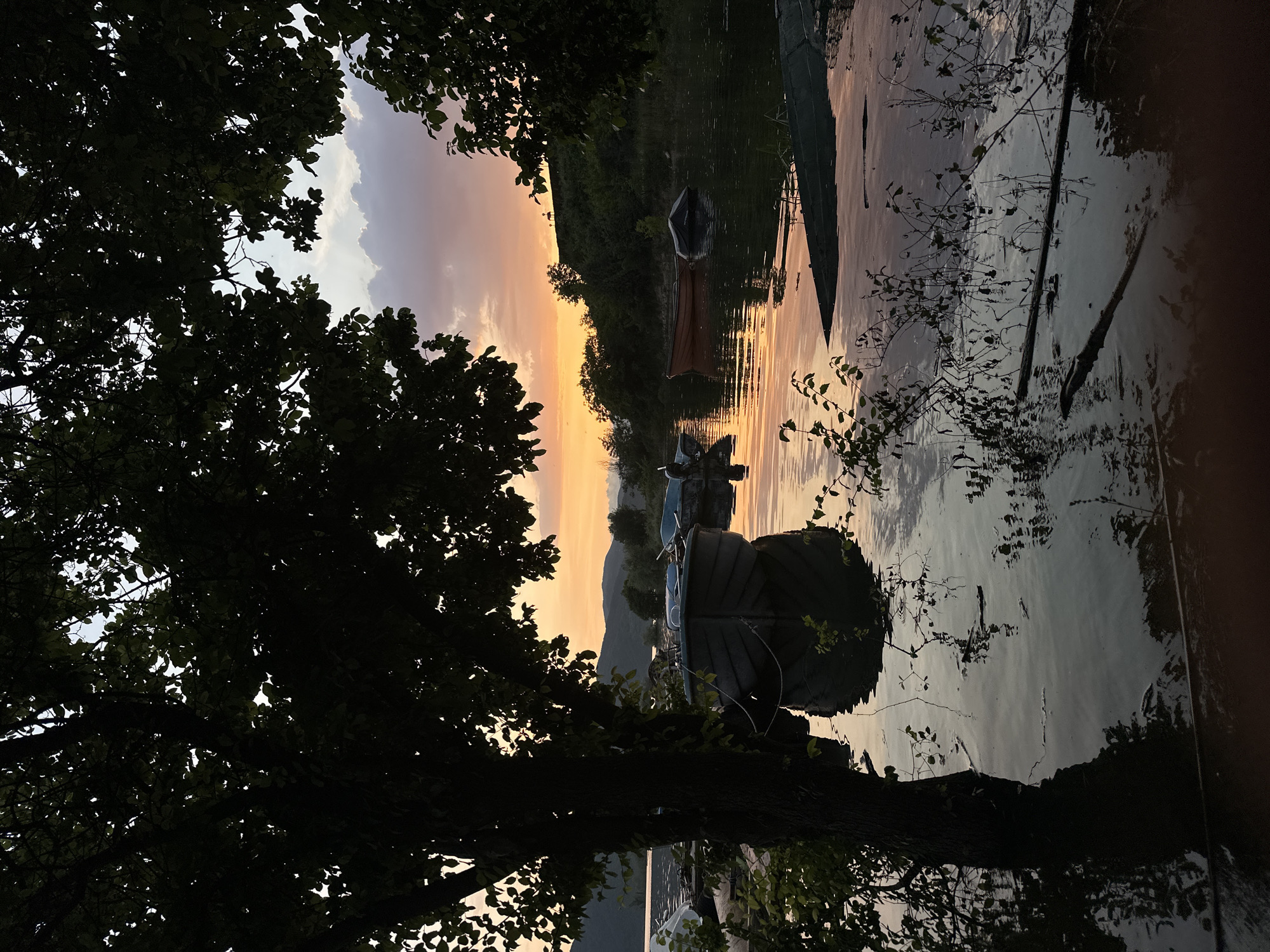 The image, when properly oriented, captures a tranquil waterside scene during either sunset or sunrise. A large, dark-leaved tree dominates the left side of the foreground, its dense foliage creating a strong silhouette against the sky and framing the view.
The central and right portions of the image feature a calm body of water, likely a lake or river, which beautifully reflects the warm colors of the sky. Several small boats are moored along the bank, appearing as dark shapes against the illuminated water. One prominent boat is visible in the mid-ground, and others are partially seen further along the shore.
Beyond the water, a range of distant hills or mountains stretches across the horizon, also rendered in silhouette by the backlighting. The sky above is painted with soft hues of orange, pink, and light purple near the horizon, gradually fading into lighter blues and grays higher up, indicative of the golden hour. Some subtle clouds are visible in the upper parts of the sky.
The overall impression is one of peace and serenity. There is no human activity evident, and no visible text. The setting, given the location context of Glavatartsi, Bulgaria, suggests a view over a natural body of water like the Kardzhali Dam.
