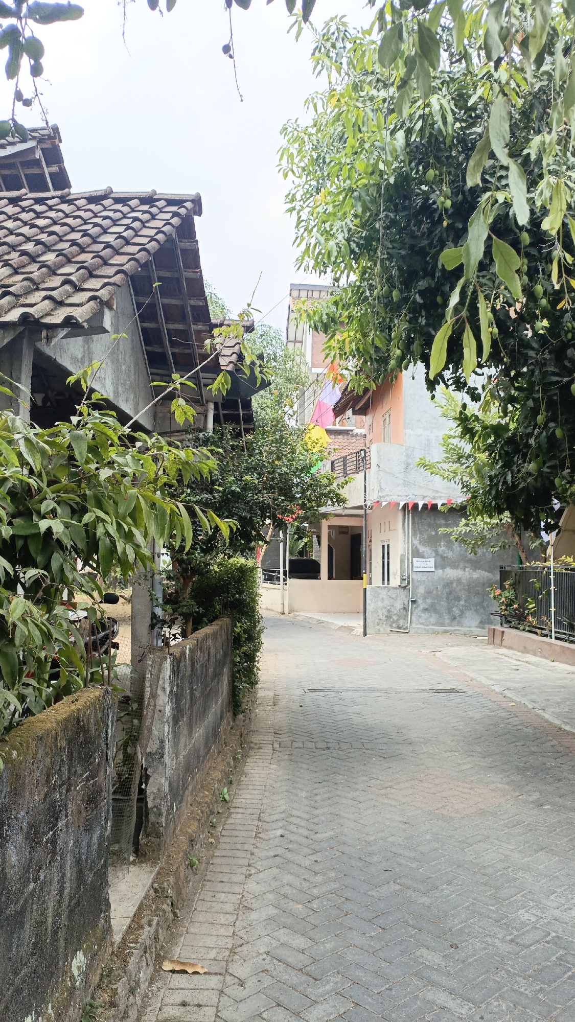 The image depicts a narrow, paved street in the city of Trihanggo, Indonesia. On the left side of the street, a weathered concrete wall runs along the edge, partially covered in moss and vegetation. Beyond the wall, a building with a tiled roof and exposed wooden beams is visible, with dense green foliage in the foreground. To the right of the street, several houses are visible, some with orange and grey exteriors. Decorative flags and banners, likely for a local celebration, hang from the buildings. Trees with green leaves and small fruits are scattered throughout the scene, providing shade. The pavement is made of interlocking brick pavers arranged in a herringbone pattern. The sky is overcast. There are no people visible in the image. The scene appears to be a residential alleyway.