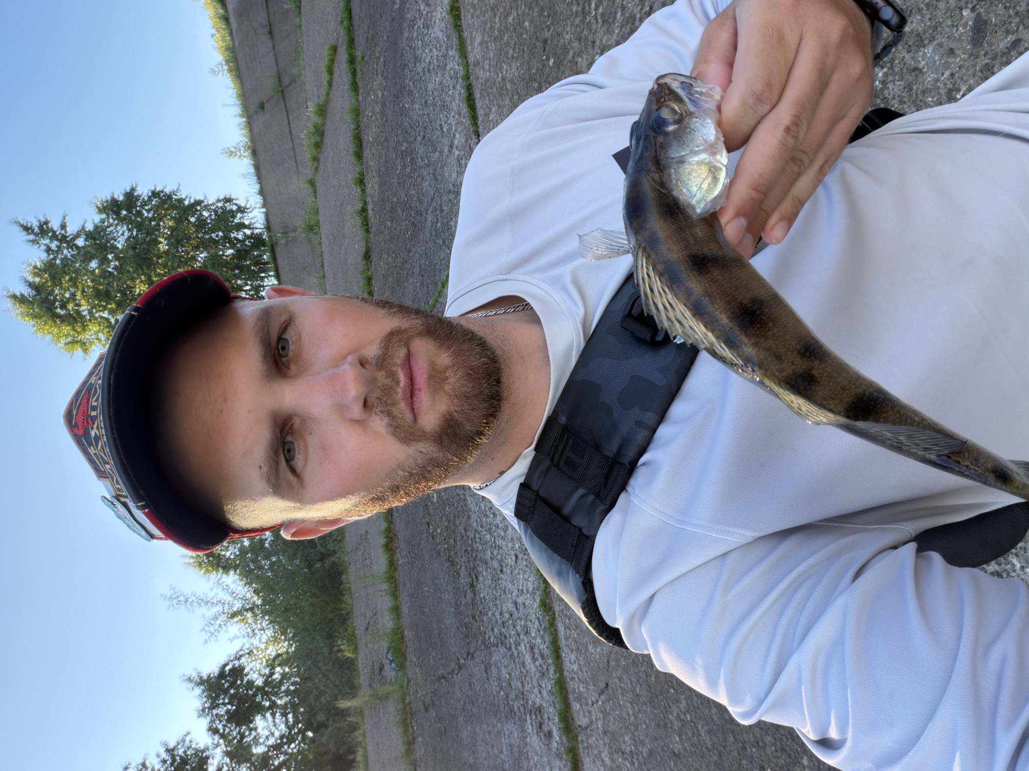 In a selfie taken outdoors, a man stands holding a small fish. He wears a white shirt, a camouflage-patterned strap across his chest, and a cap with a red brim and a patterned front. The man has short brown hair and a beard. The background shows a concrete embankment, trees, and a clear blue sky. The scene appears to be near the Kama River in Chaikovsky, Russia, suggested by the type of embankment and vegetation typical of the region.