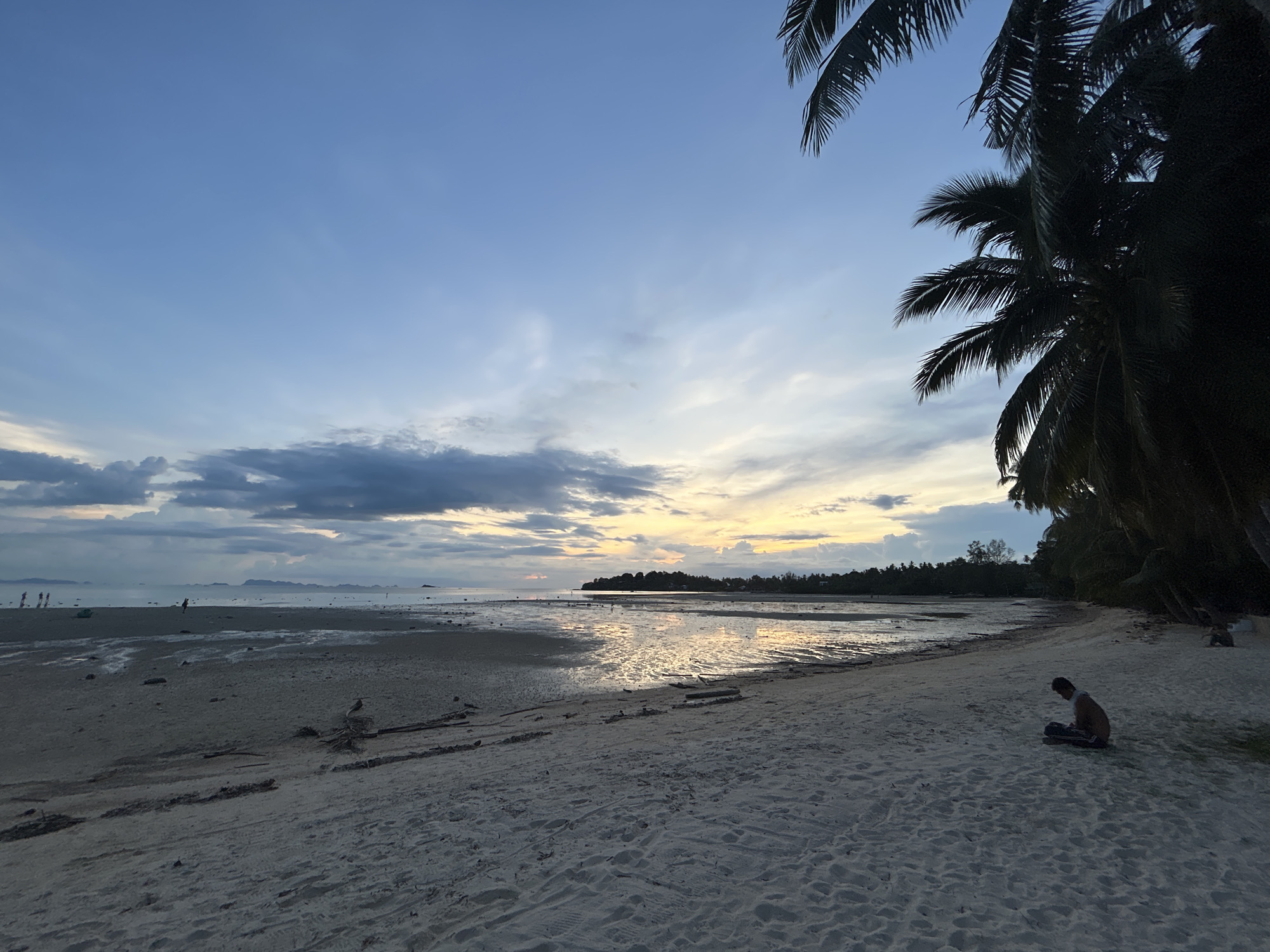 A wide-angle, eye-level shot captures a serene sunset scene on a beach in Ko Pha Ngan, Thailand. The sky is a gradient of blues, fading into pastel yellows and oranges near the horizon where the sun is setting. Wispy clouds are scattered across the sky, some tinged with the colors of the sunset. In the foreground, a sandy beach stretches out, marked by footprints and scattered debris like driftwood. The tide is low, revealing a wet, reflective shoreline where shallow water pools and mirrors the sky. In the mid-ground, a faint treeline borders the water, with hints of islands or landmasses visible in the distance. To the right, silhouetted palm trees with their fronds extending into the sky frame the scene. On the beach, a lone figure sits in a cross-legged position, looking down at something in their lap. Further in the background on the beach, a few other figures are visible, appearing small and indistinct. The overall atmosphere is peaceful and tranquil, characterized by the soft light of dusk and the natural beauty of the coastal environment.
