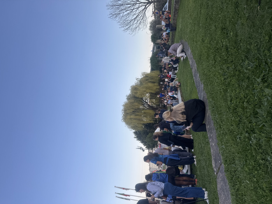 The image depicts an outdoor gathering in Mirandela, Portugal, occurring during late afternoon or early evening under a clear, light blue sky.
The scene features a public green space with a large congregation of individuals. In the immediate foreground, vibrant green grass is visible, traversed by a curved, multi-tiered stone retaining wall or path. A person with blonde hair, wearing dark clothing, sits on one of these low stone walls with their back to the viewer, engaged with a mobile phone. To the left, a woman in a light blue shirt and dark trousers stands near a camera mounted on a tripod, facing towards the right.
In the midground, a significant crowd, predominantly young adults, is distributed across the grassy area and seated on stone structures. Many individuals are observing towards the right side of the frame, suggesting a focal point outside the immediate view. Some are conversing while others are using mobile phones. A large weeping willow tree with dense, light green foliage dominates the left-midground, while a bare deciduous tree with fine branches stands on the right.
The background reveals a series of buildings, including one with a "RESTAURANT" sign, partially obscured by the crowd and foliage. Three flagpoles are visible on the far left, displaying flags with vertical green, red, and yellow stripes, consistent with Mirandela's municipal colors. Vehicle traffic or parked vehicles are minimally visible behind the bare tree on the right. No discernible specific events or interactions beyond general gathering are evident.
