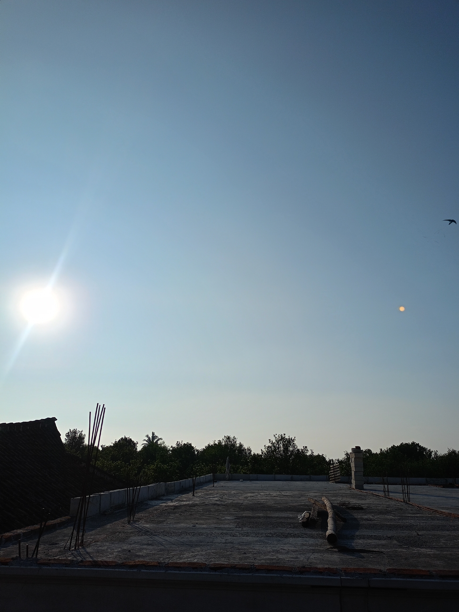The image depicts an outdoor scene, likely a rooftop under construction, bathed in the bright light of the sun. The sky is a clear, pale blue, with the sun prominently positioned on the left, casting a bright glare. In the distance, a line of dense green trees forms the horizon. The foreground features a concrete rooftop with exposed rebar, suggesting ongoing construction. A portion of a tiled roof is visible on the far left. A cylindrical object, possibly a pipe or a rolled-up mat, lies on the rooftop. Two birds are silhouetted against the sky, one higher and to the right, and another lower and further right. The overall impression is one of a clear, sunny day in a semi-urban or rural setting, possibly in Batu, Indonesia, given the vegetation and construction style.