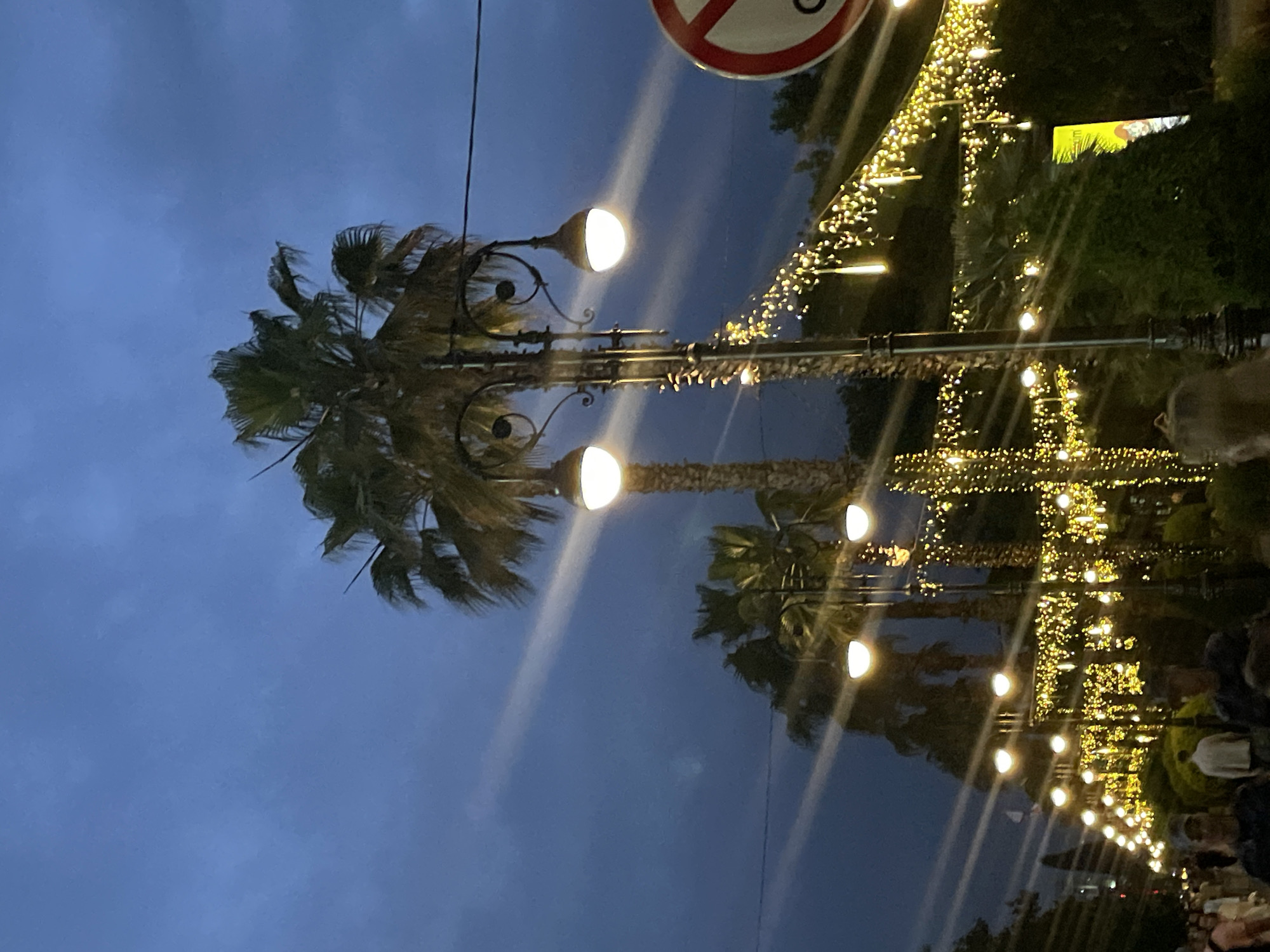 The image captures a dusk scene in Sochi, Russia, likely on a street lined with palm trees and illuminated by decorative lights. Several palm trees are visible, with their fronds silhouetted against the dark blue sky. Ornate lampposts with glowing orbs cast warm light, while strings of smaller, yellow lights drape between them, creating a festive atmosphere. A red and white circular sign with a diagonal line, possibly a "no" symbol, is partially visible on the right. The foreground shows a few people, their features indistinct due to the low light and motion blur, walking along the street. The overall impression is of a lively evening in a coastal city.