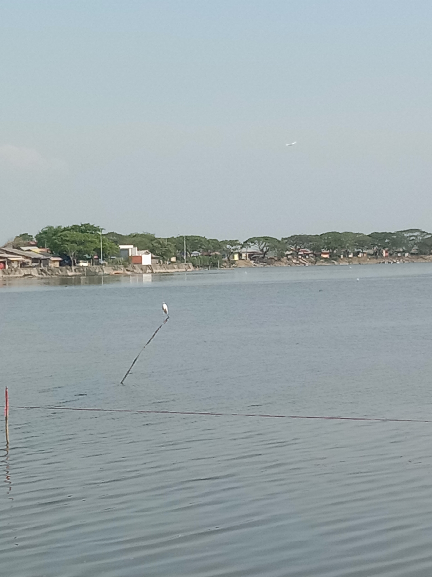 The image shows a body of water with small ripples on the surface, possibly a lake or wide river. In the distance, a shoreline is lined with buildings and trees, suggesting a settled area. A white bird, likely a heron or egret, is perched atop a thin, dark pole that rises from the water. A faint contrail of a high-flying plane is visible in the upper part of the sky. There is a thin, red pole and rope going through the water.
Given the location Lhokseumawe, Indonesia, the environment appears to be a coastal or riverine setting within a populated area.