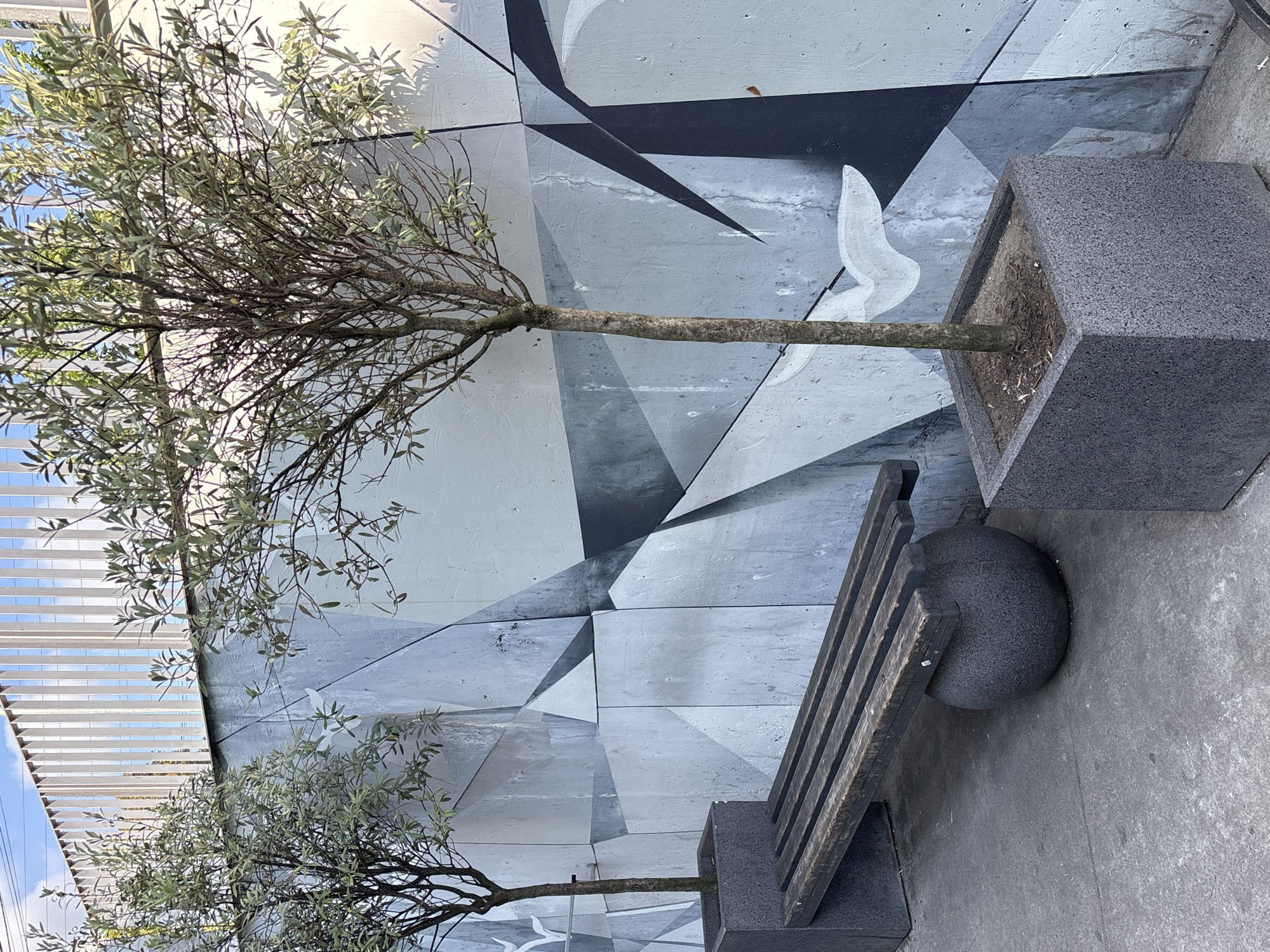This is a medium-shot, eye-level, outdoor photograph of a public space featuring a bench and two potted trees in front of a mural on a concrete wall. The mural is abstract with geometric shapes in shades of gray and black, and a white bird-like figure. The bench is made of dark wood slats and has a round, dark gray stone base. Both potted trees are slender with sparse foliage and are in dark gray, cube-shaped planters. The ground is paved with gray concrete. In the background, a white slatted fence runs horizontally across the top of the frame, with a glimpse of blue sky and some greenery behind it. The image appears to be taken during the daytime, possibly late afternoon, given the lighting and shadows. The location is identified as Razdolnoye, Russia. There are no people visible in the image.